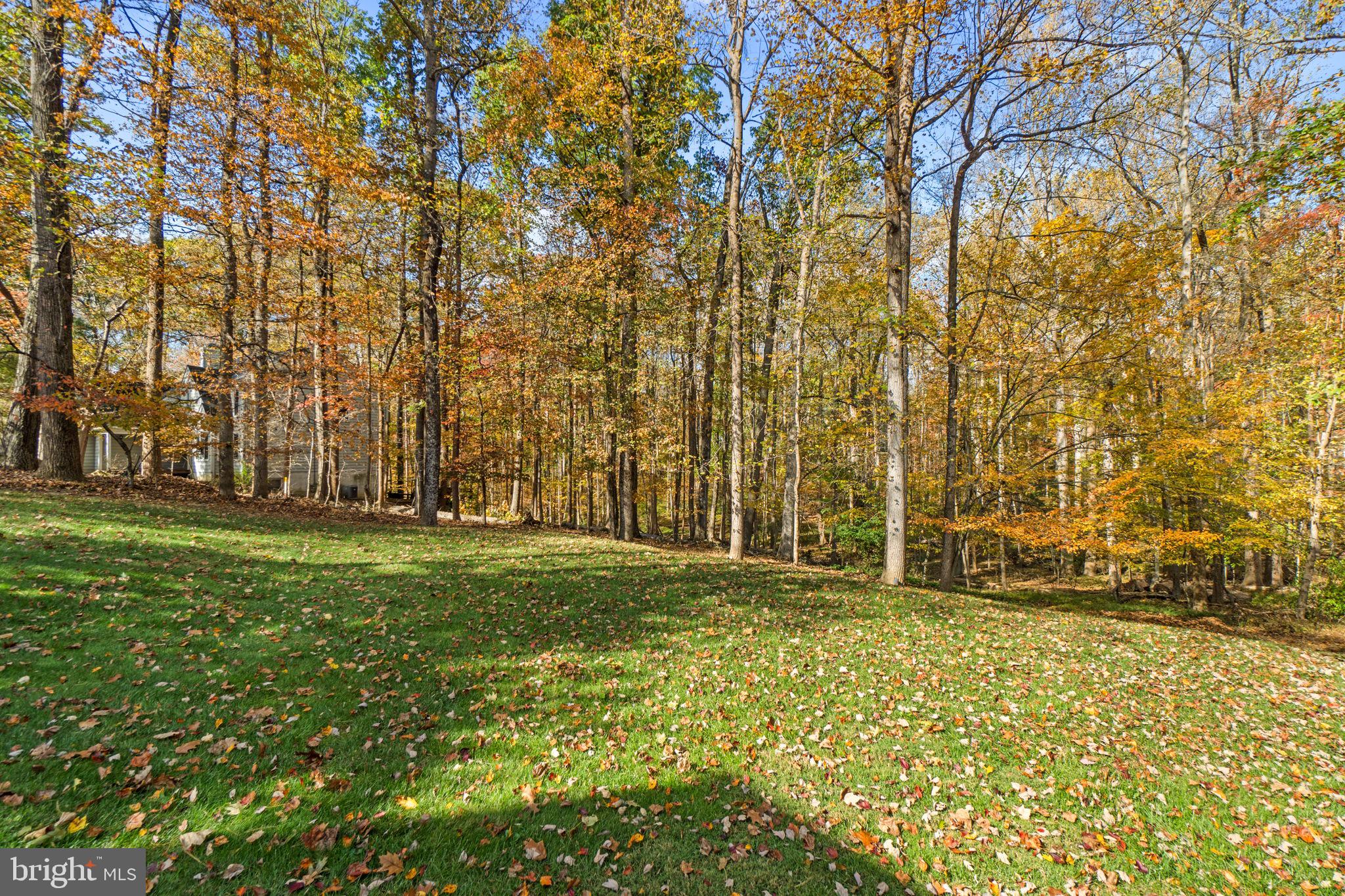 VILLAGE OF HICKORY RIDGE - Residential