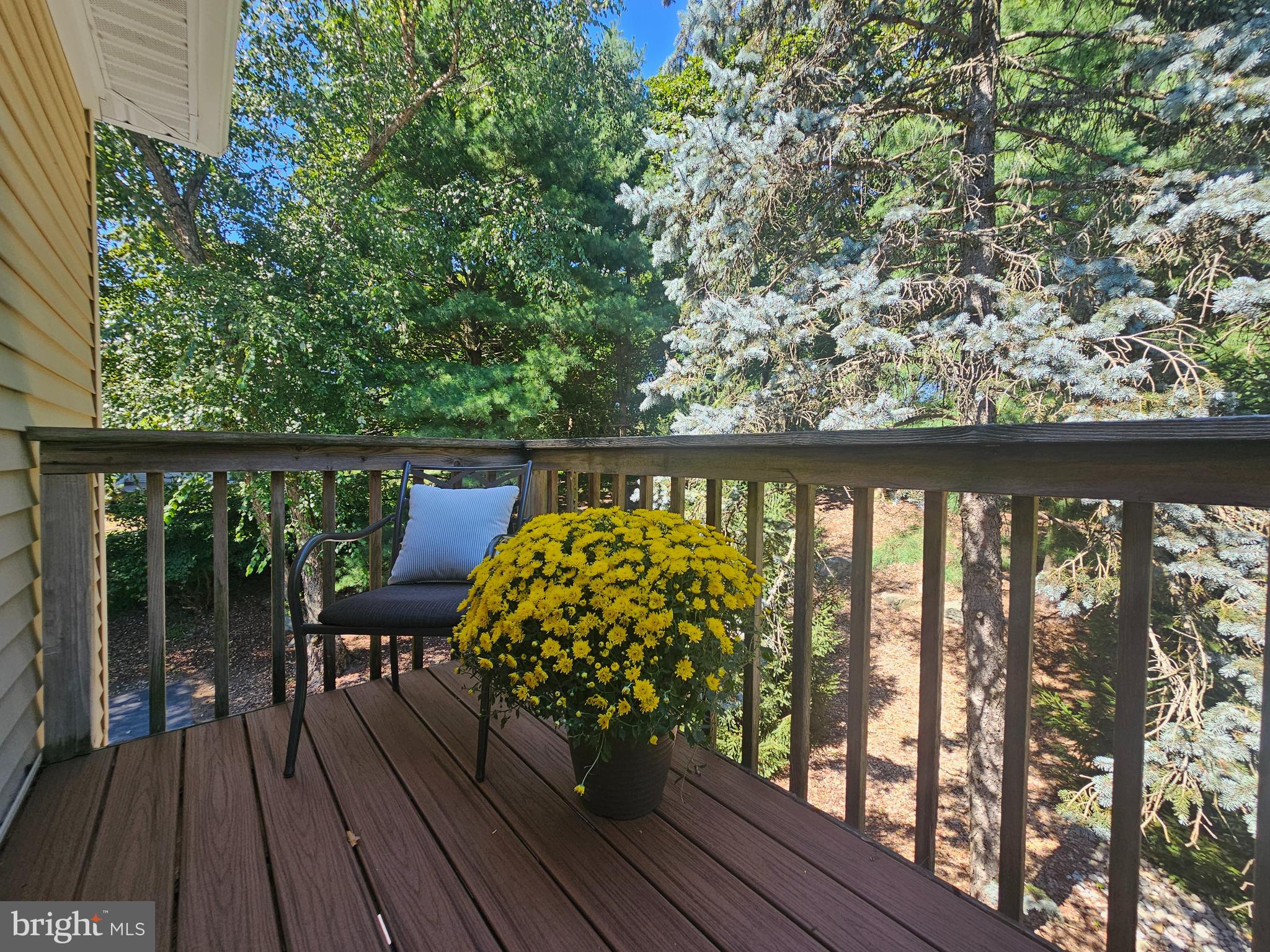 OAKRIDGE - Residential