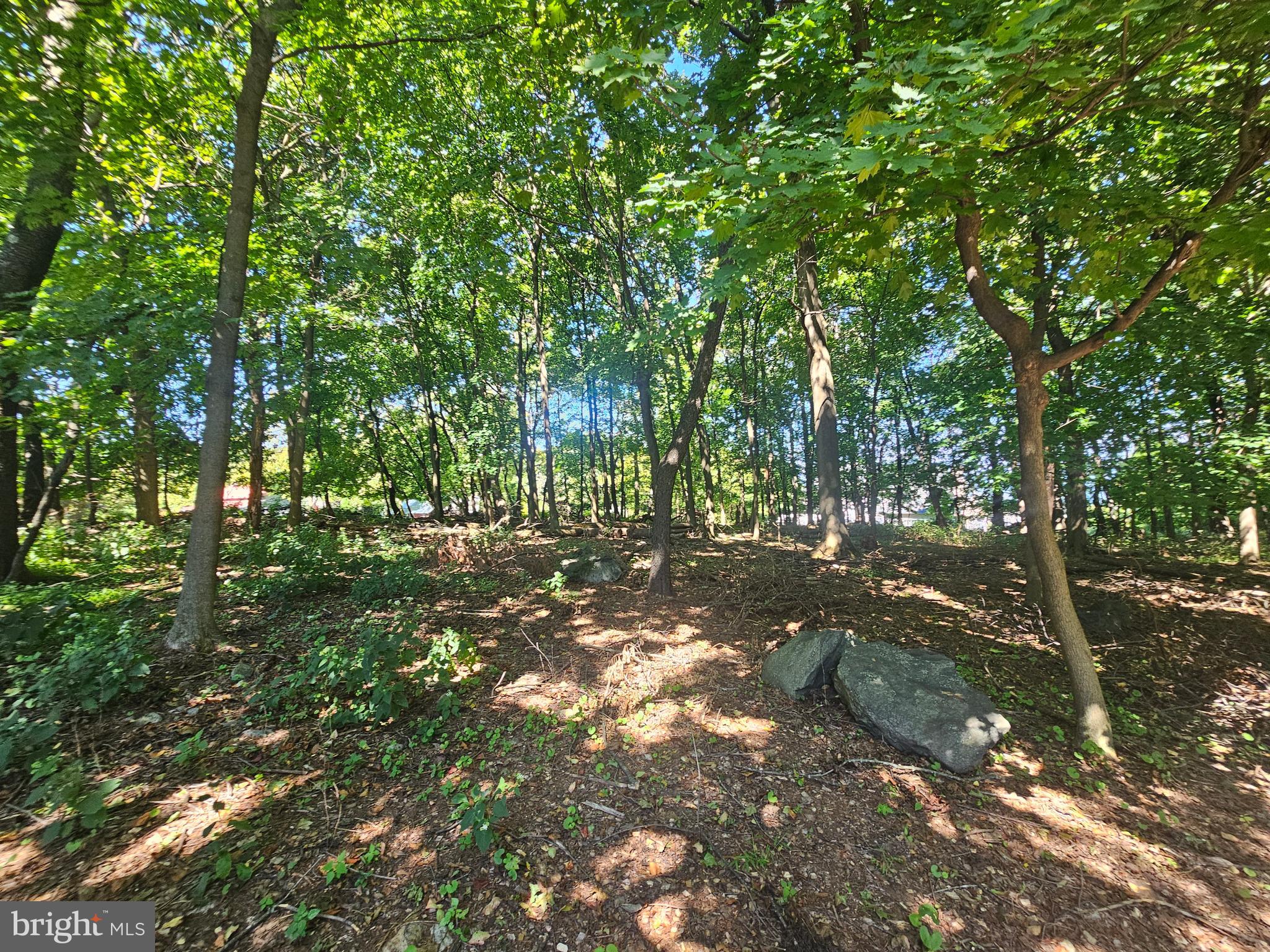 OAKRIDGE - Residential