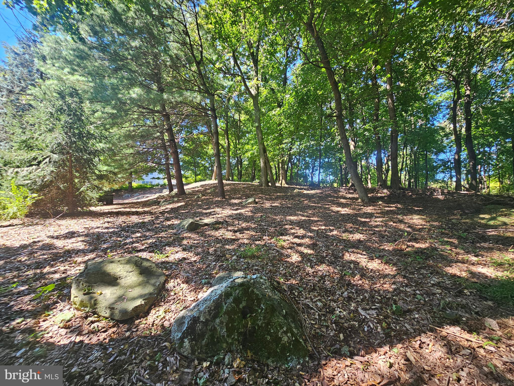 OAKRIDGE - Residential