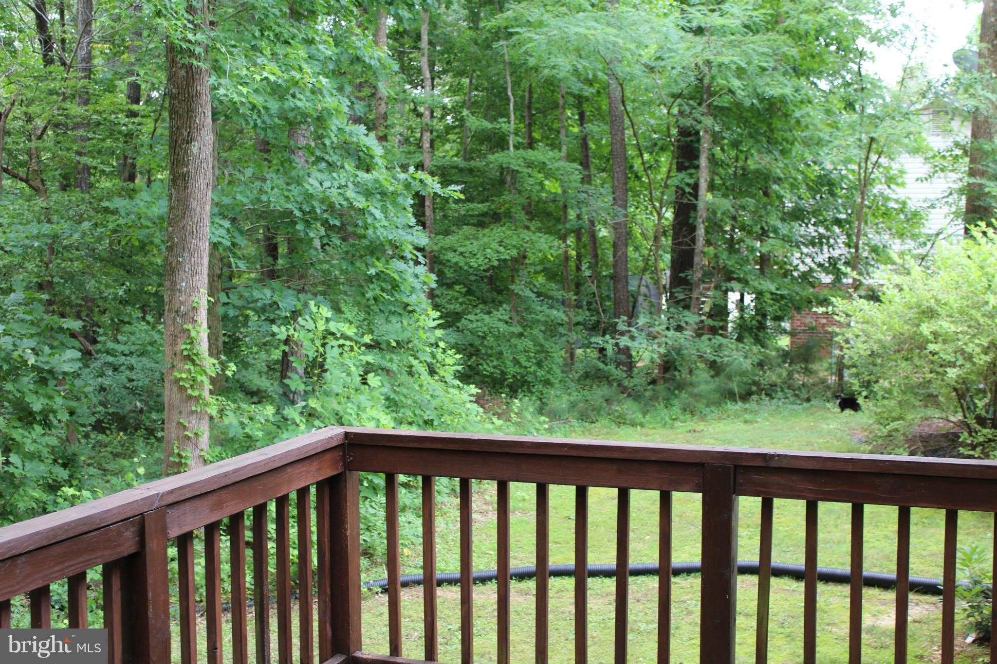 LAKE CAROLINE - Residential