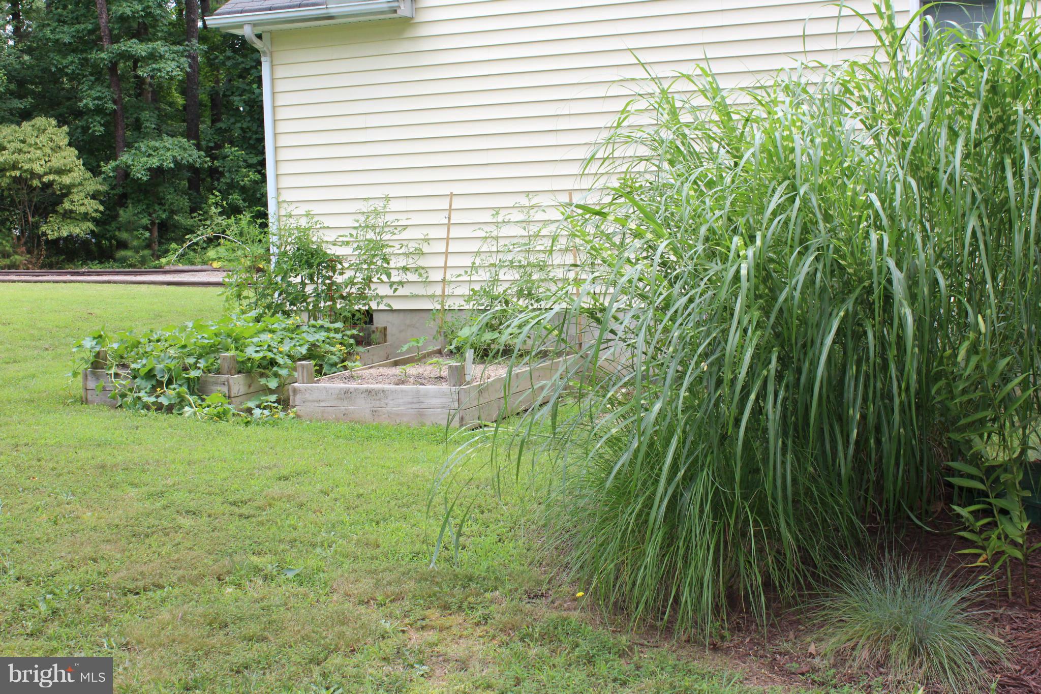 LAKE CAROLINE - Residential