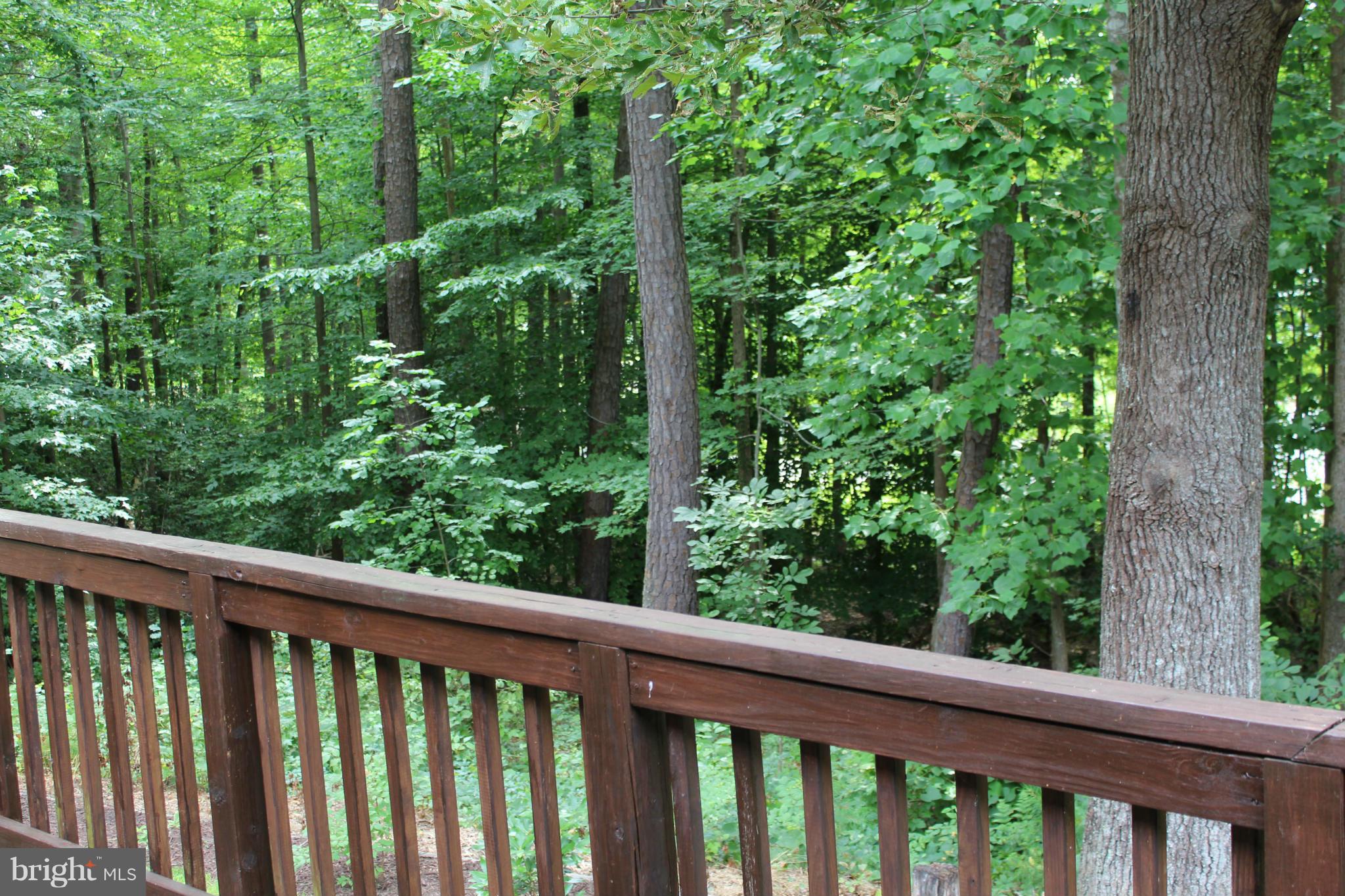 LAKE CAROLINE - Residential