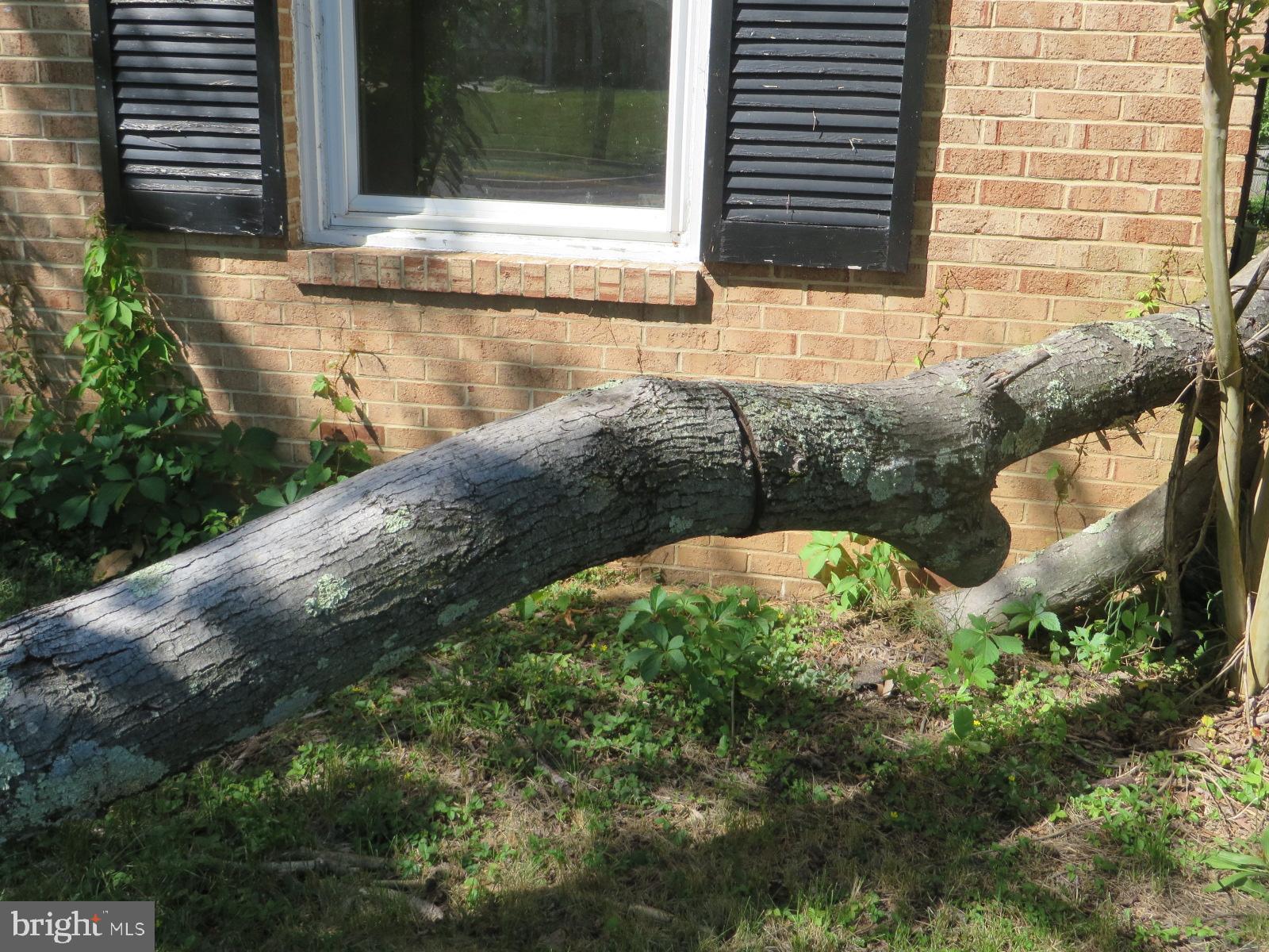 MAPLEWOOD - Residential