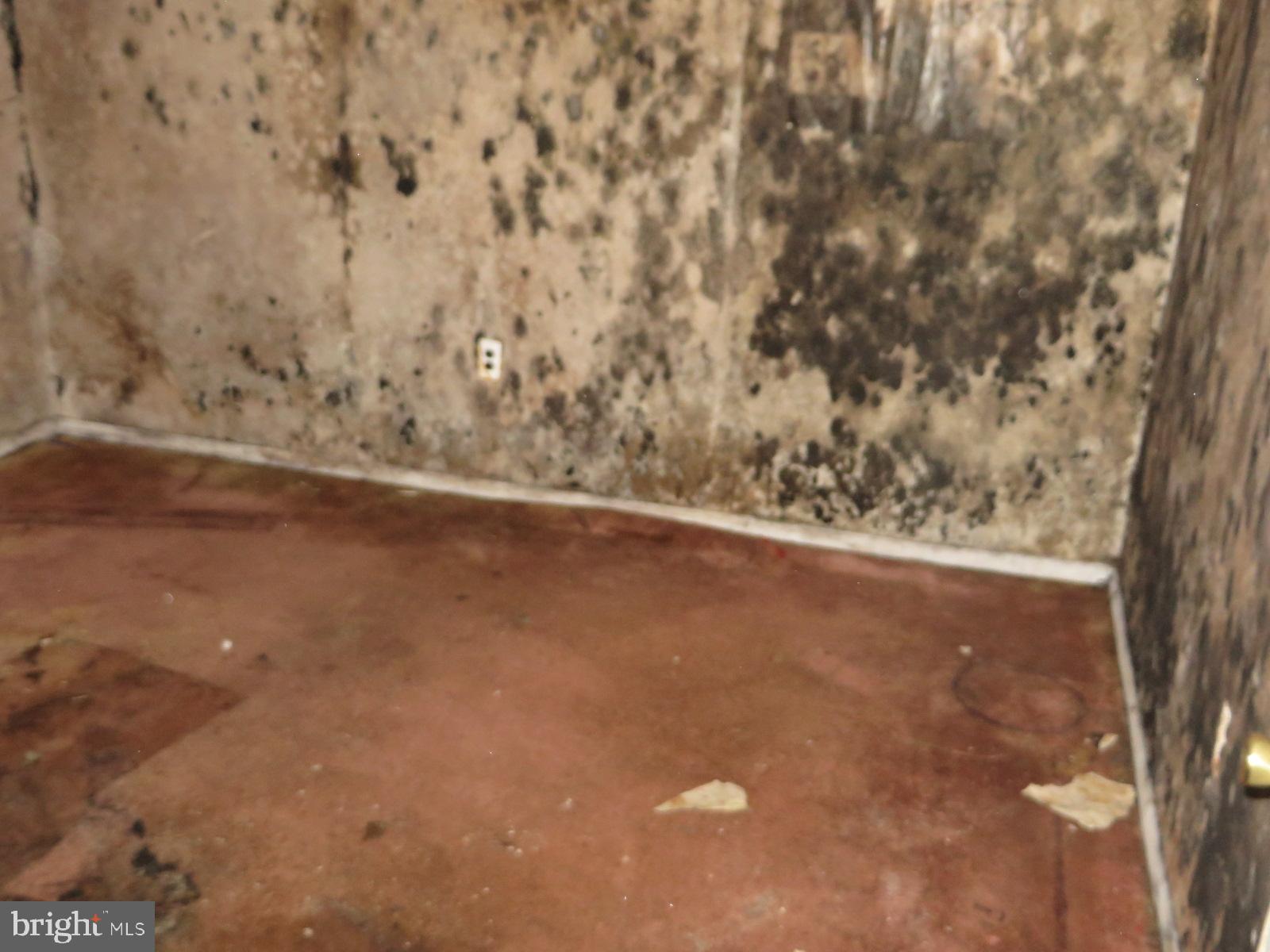 MAPLEWOOD - Residential