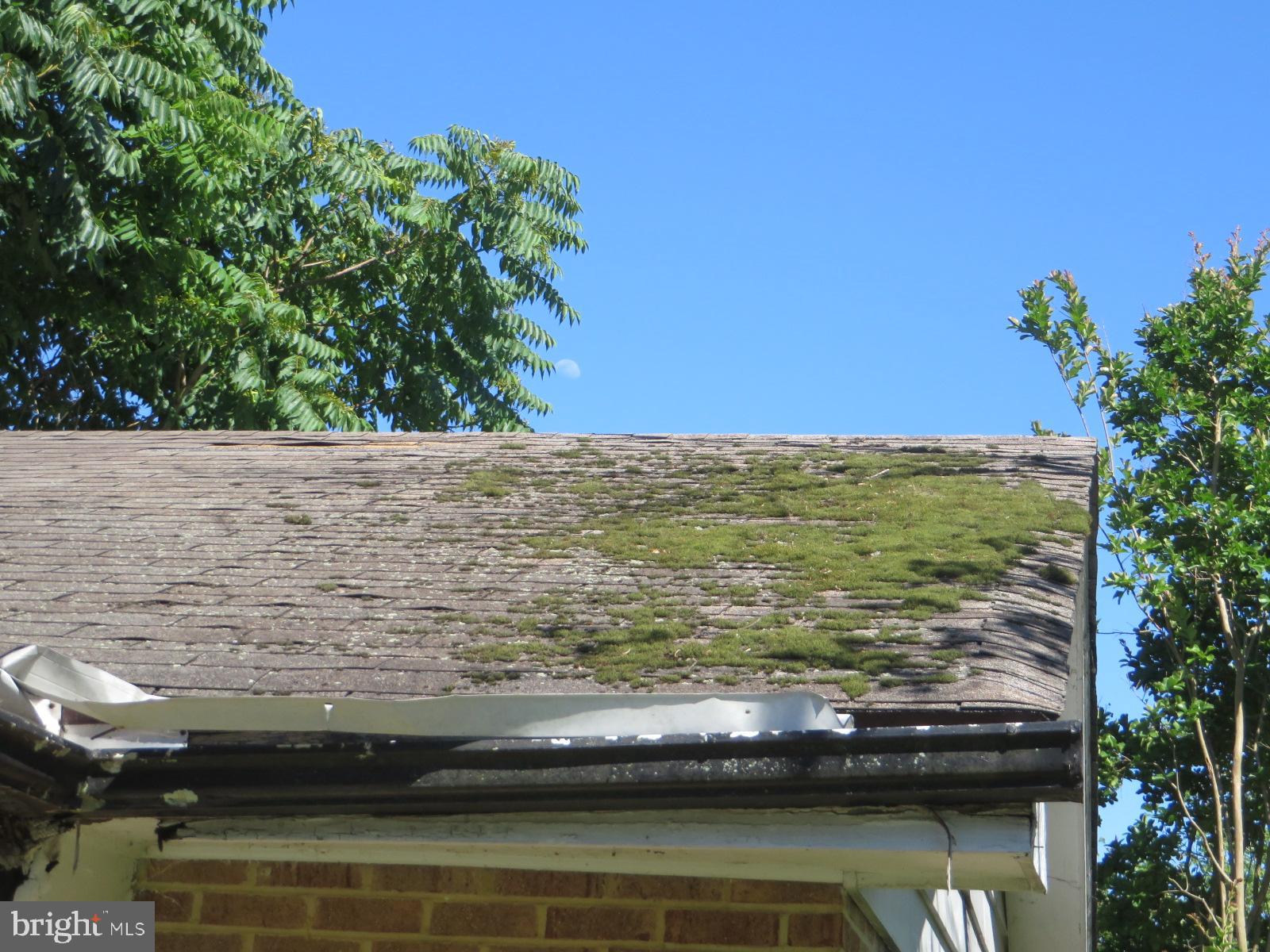 MAPLEWOOD - Residential