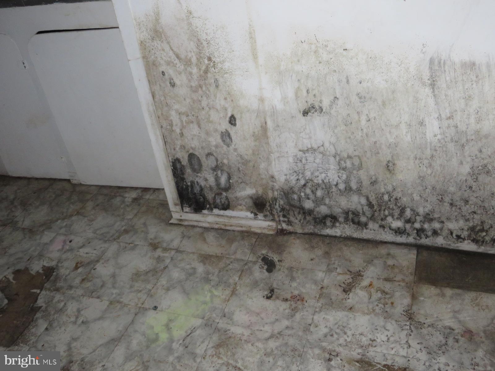 MAPLEWOOD - Residential