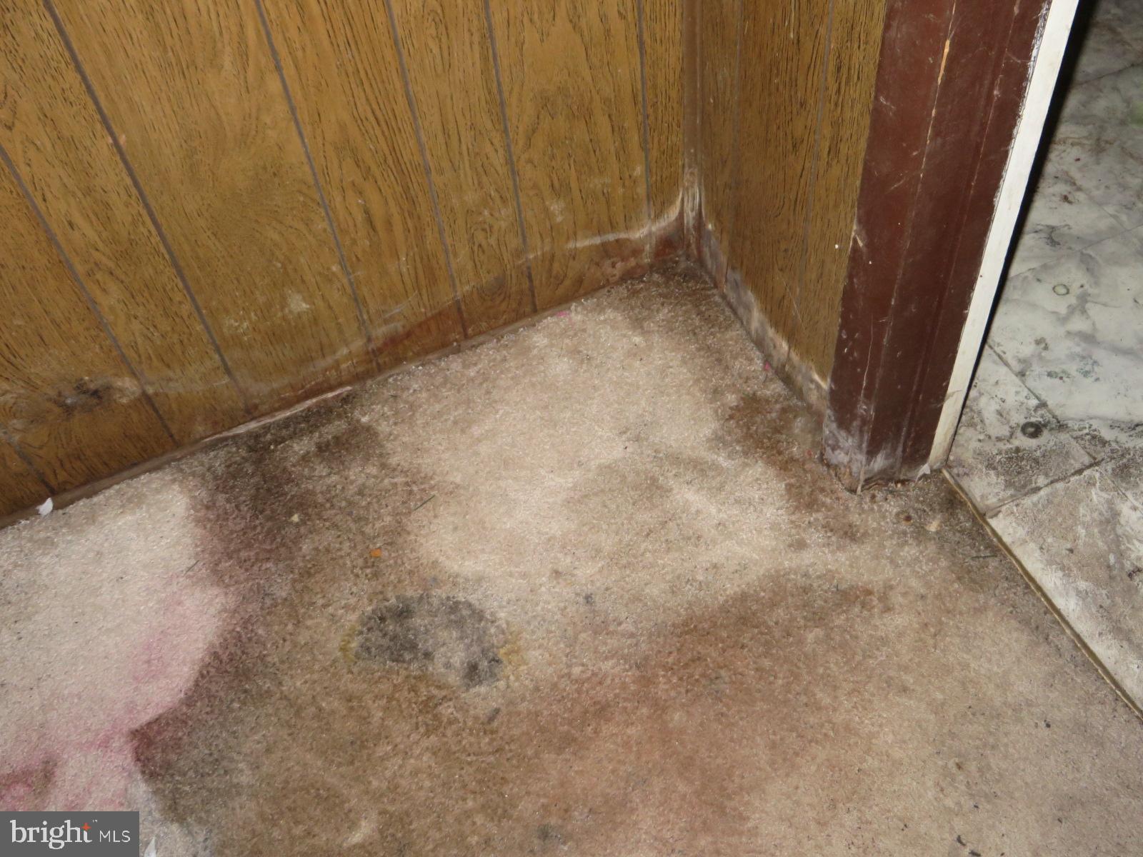 MAPLEWOOD - Residential