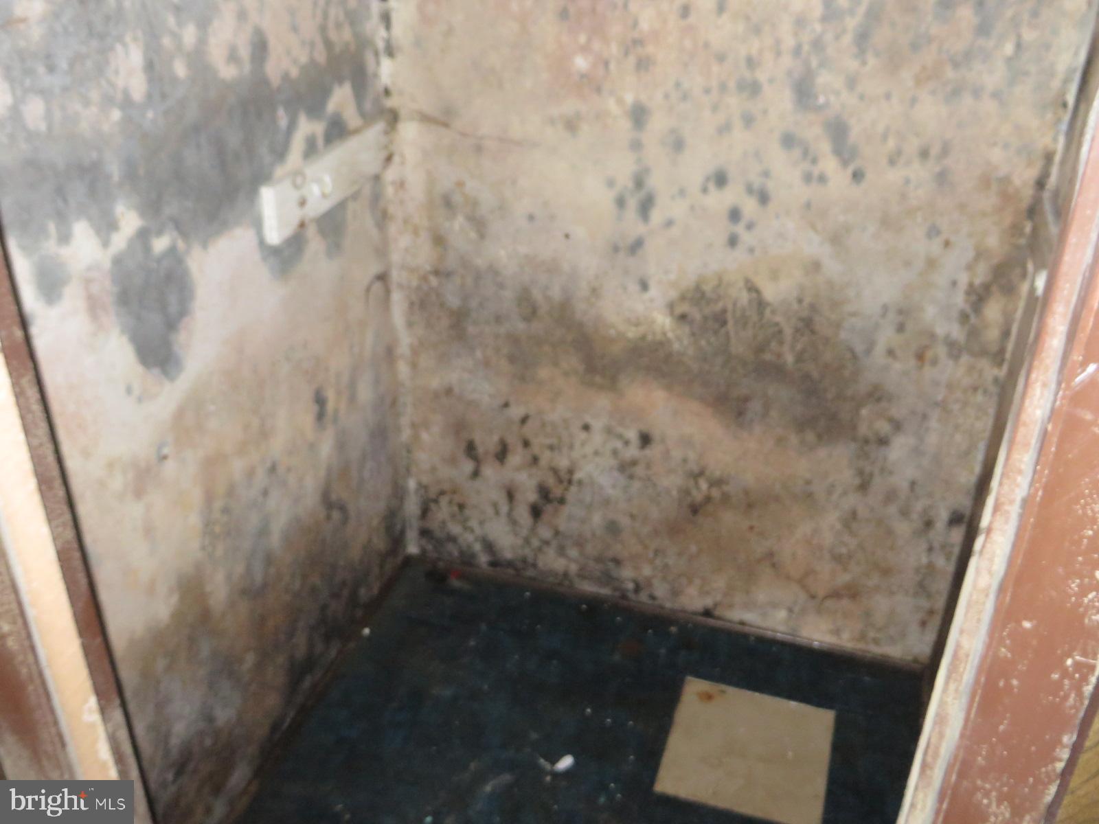 MAPLEWOOD - Residential