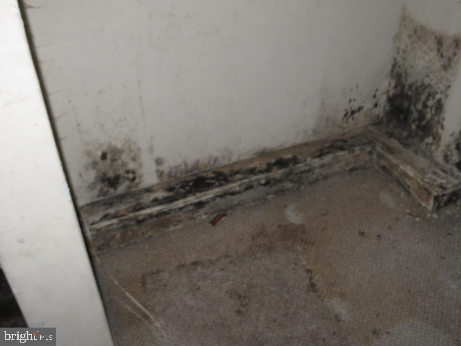 MAPLEWOOD - Residential