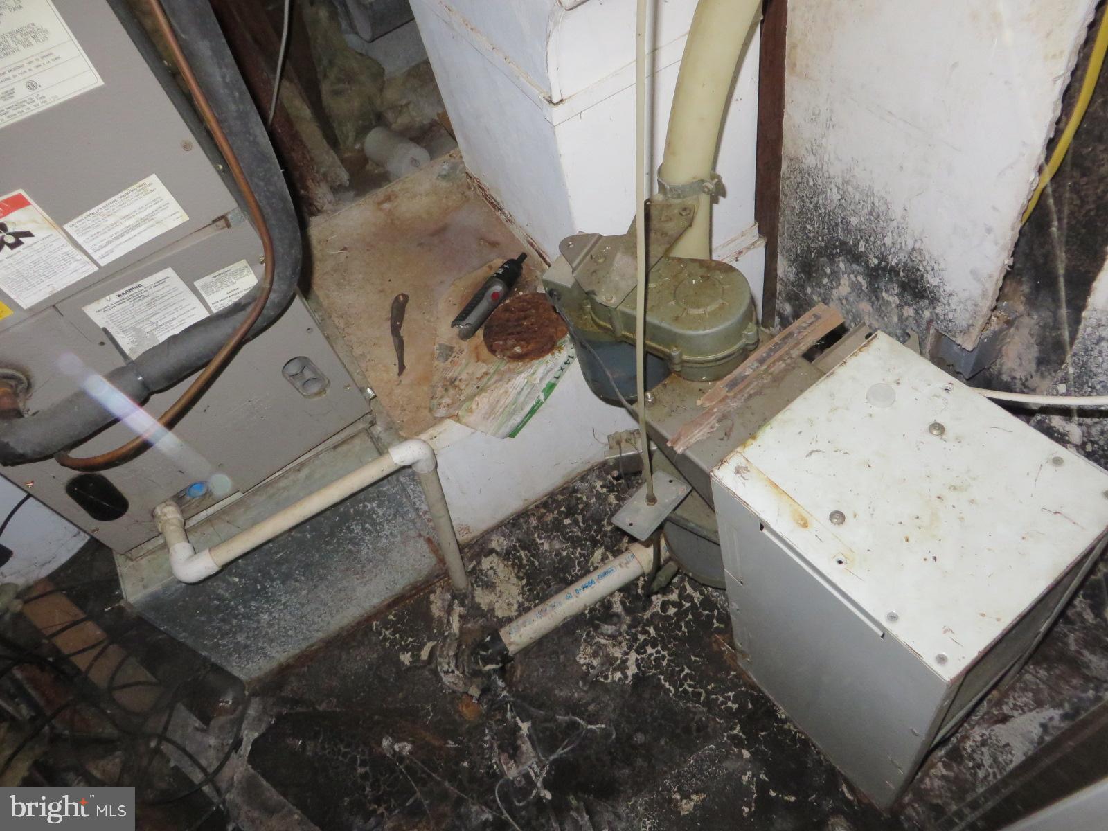 MAPLEWOOD - Residential