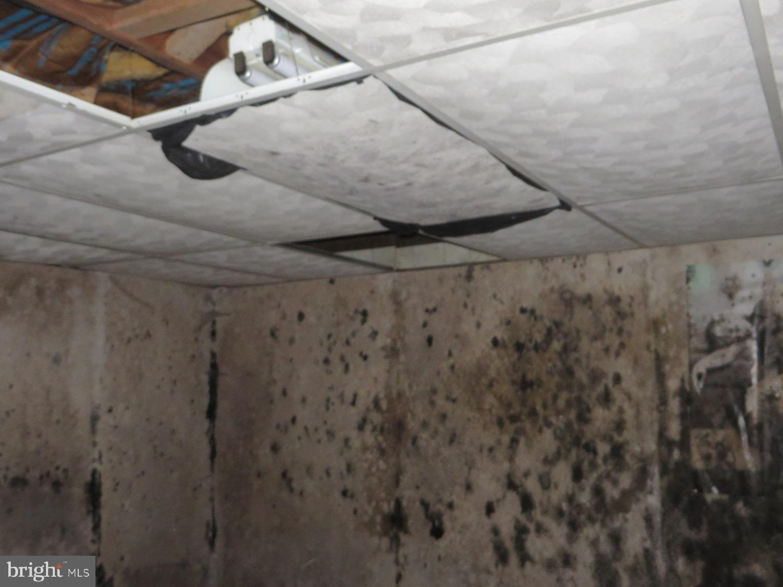 MAPLEWOOD - Residential