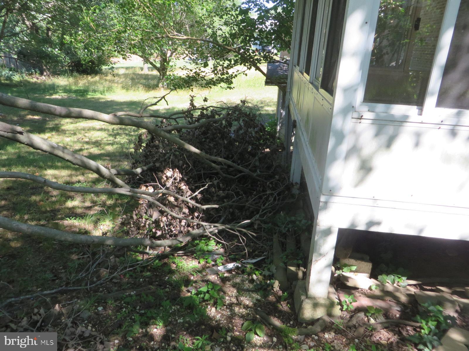 MAPLEWOOD - Residential