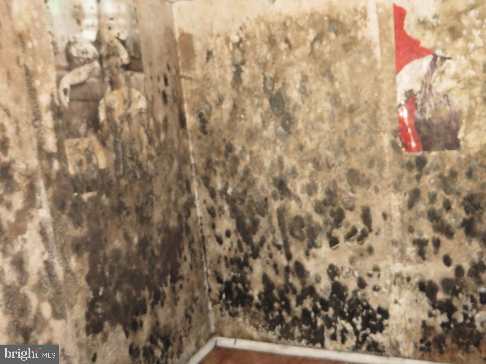 MAPLEWOOD - Residential