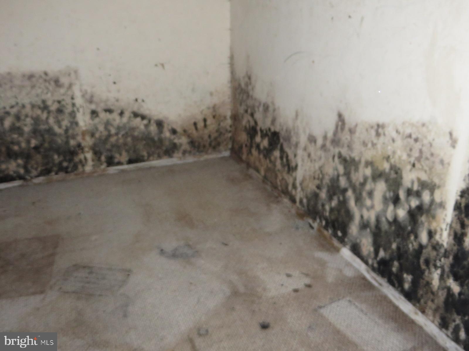 MAPLEWOOD - Residential