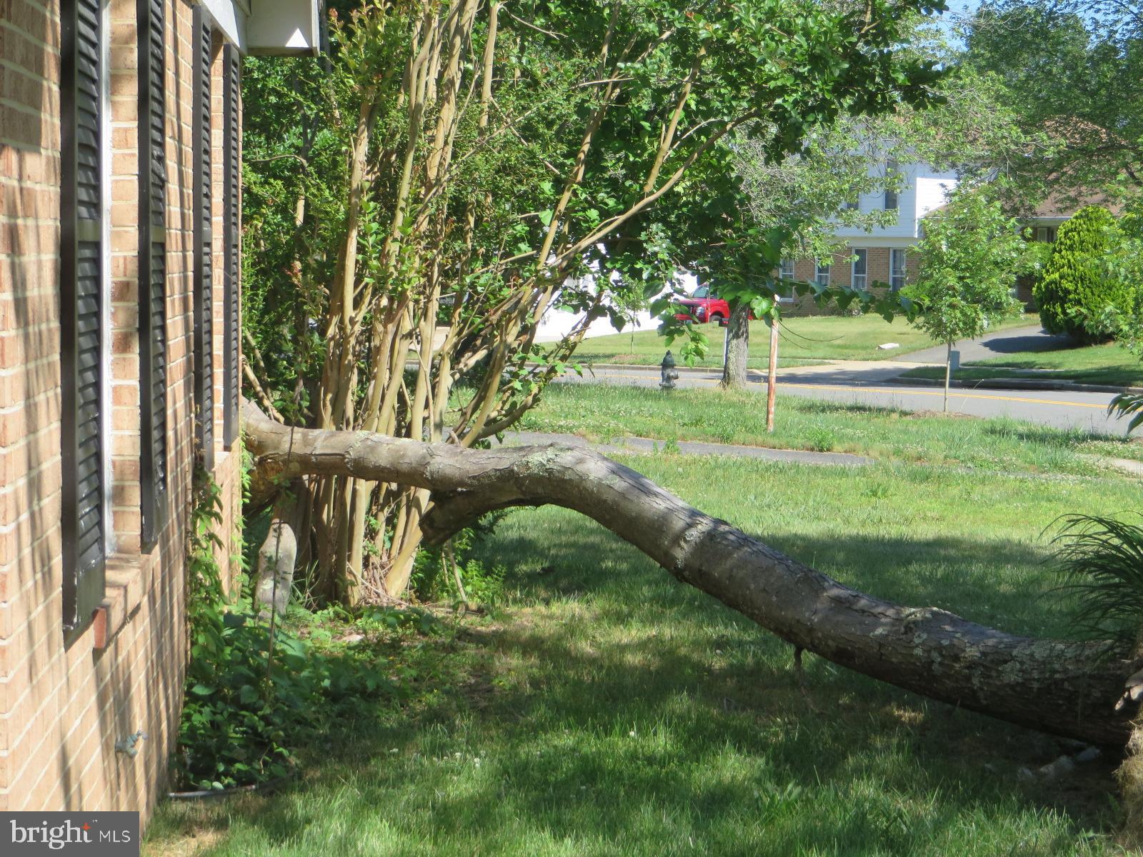 MAPLEWOOD - Residential