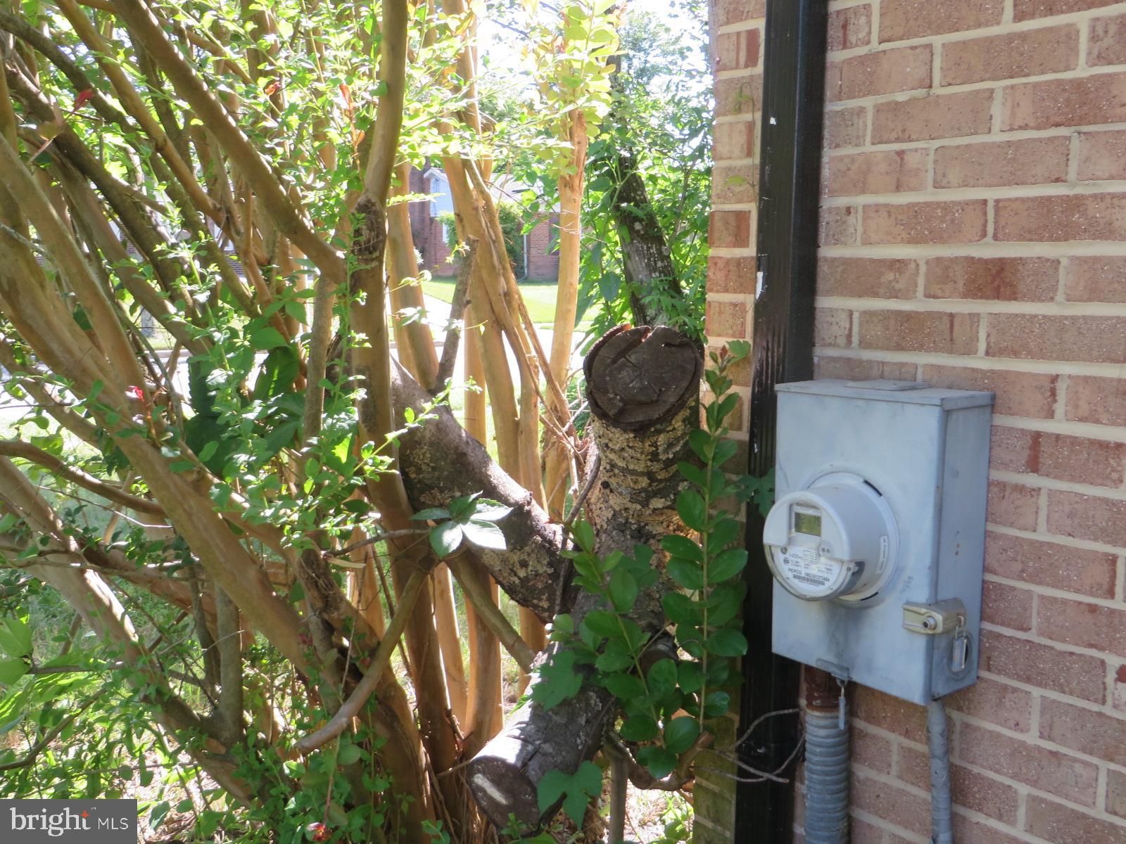 MAPLEWOOD - Residential