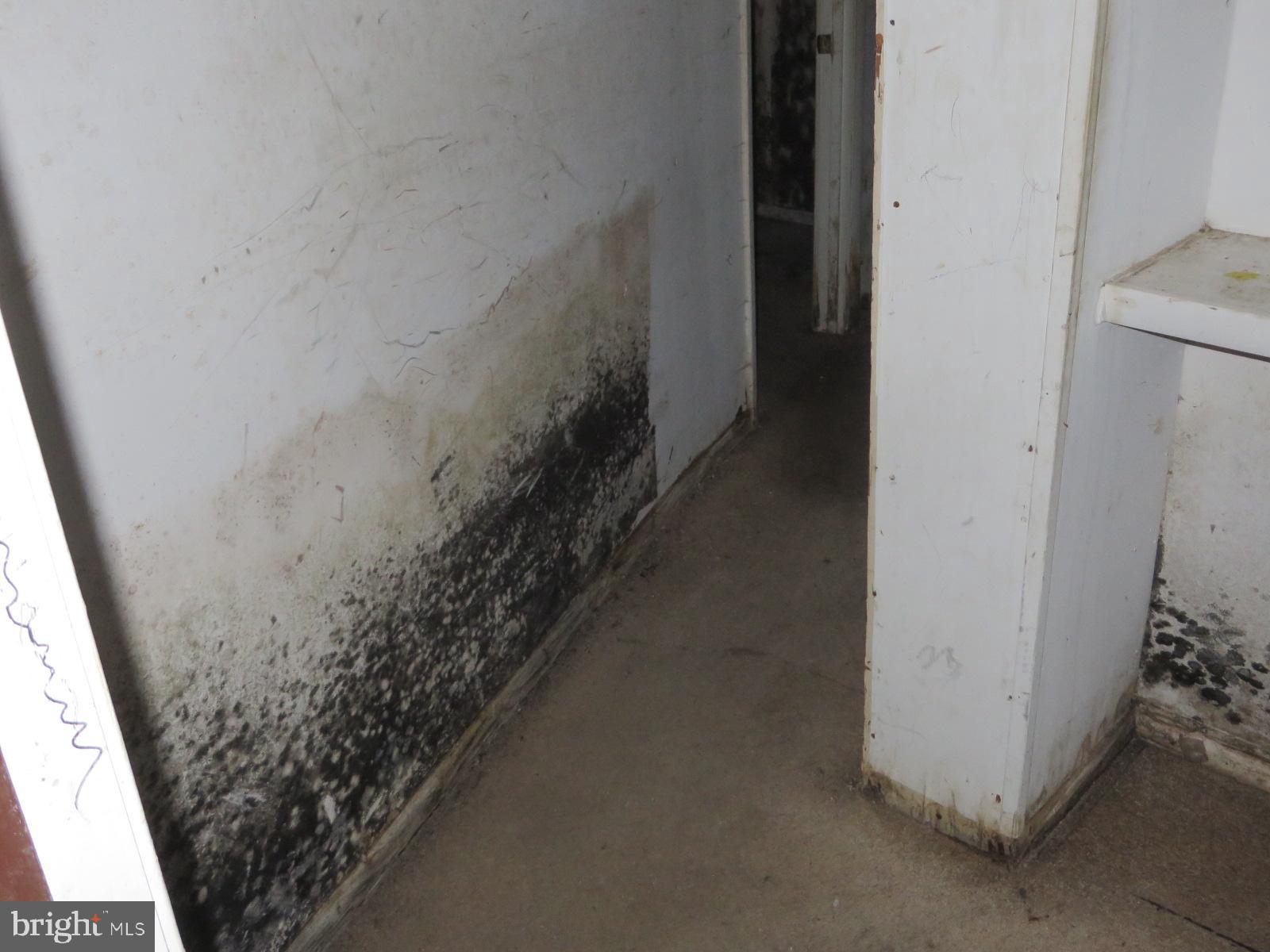 MAPLEWOOD - Residential