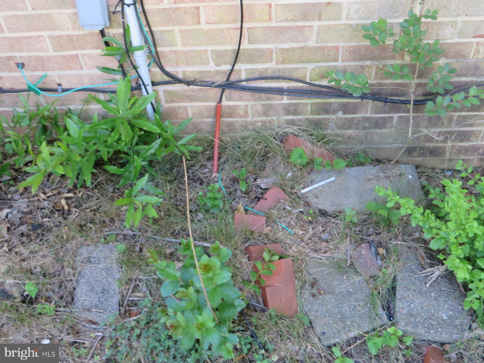 MAPLEWOOD - Residential