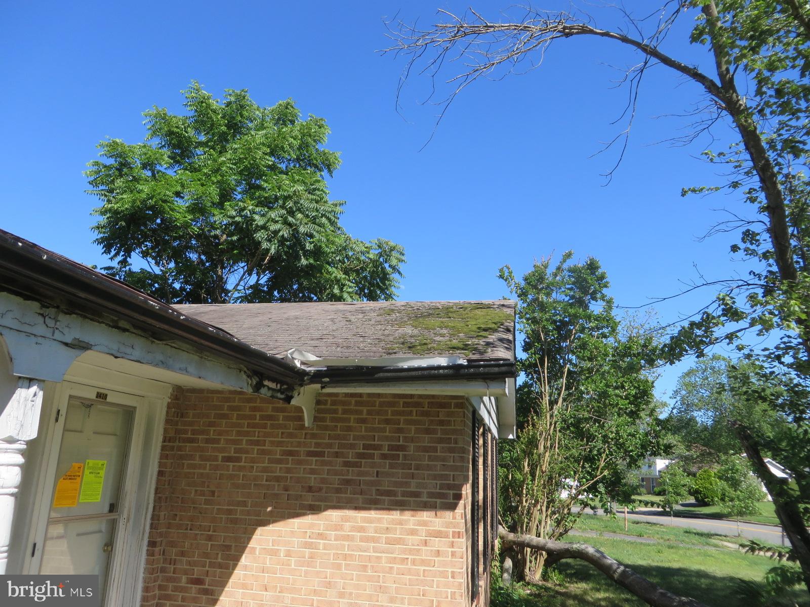 MAPLEWOOD - Residential