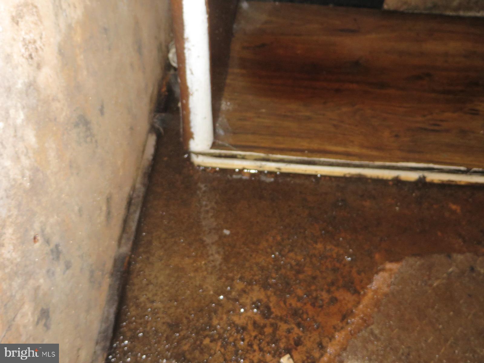 MAPLEWOOD - Residential