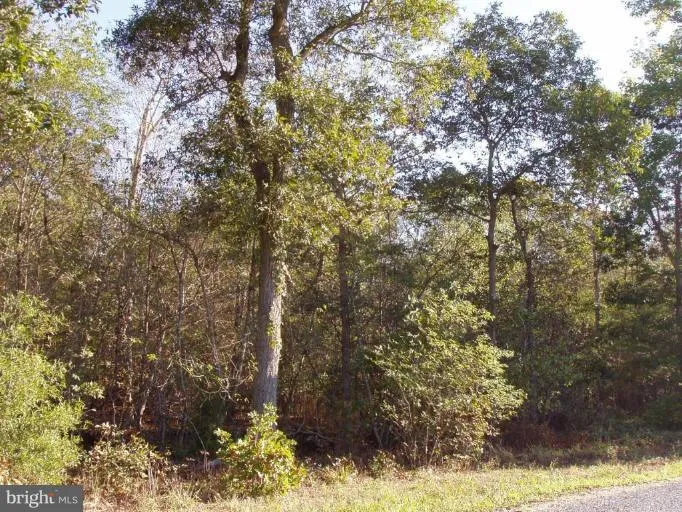 Additional image 2 of Hignutt Road, Denton, MD 21629