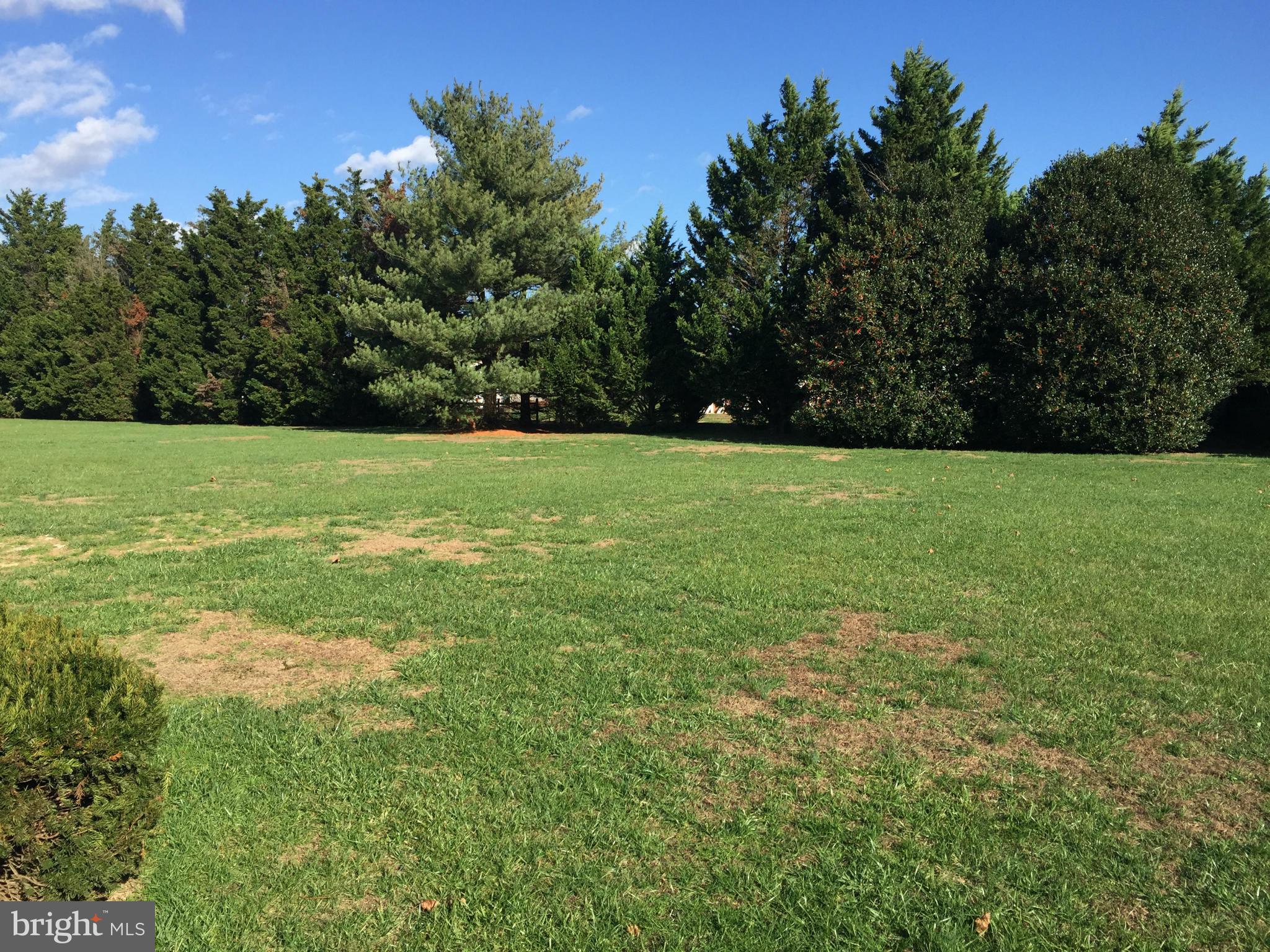 TUCKAHOE SPRINGS - Residential