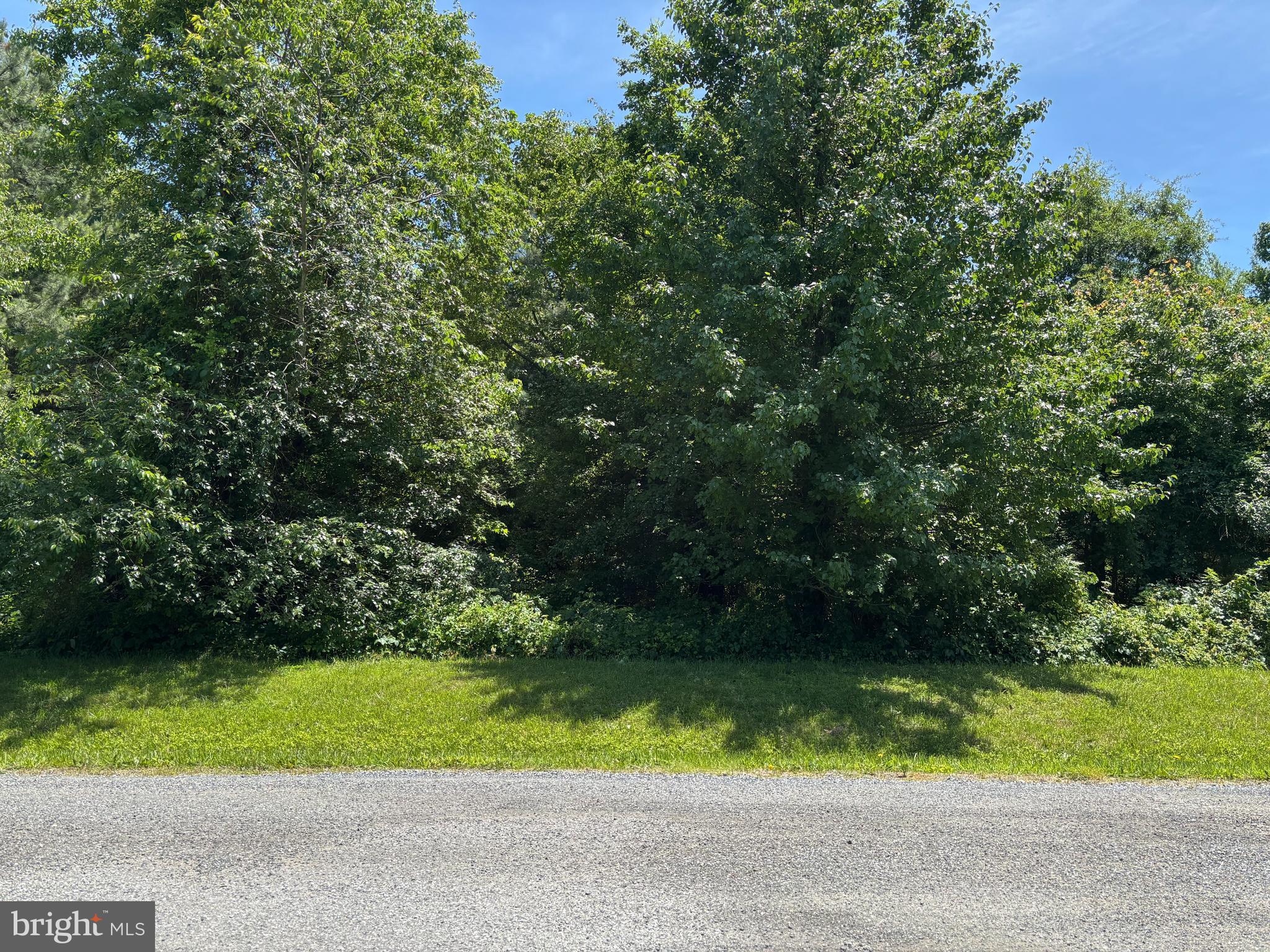 CHANCELLOR POINT ROAD
