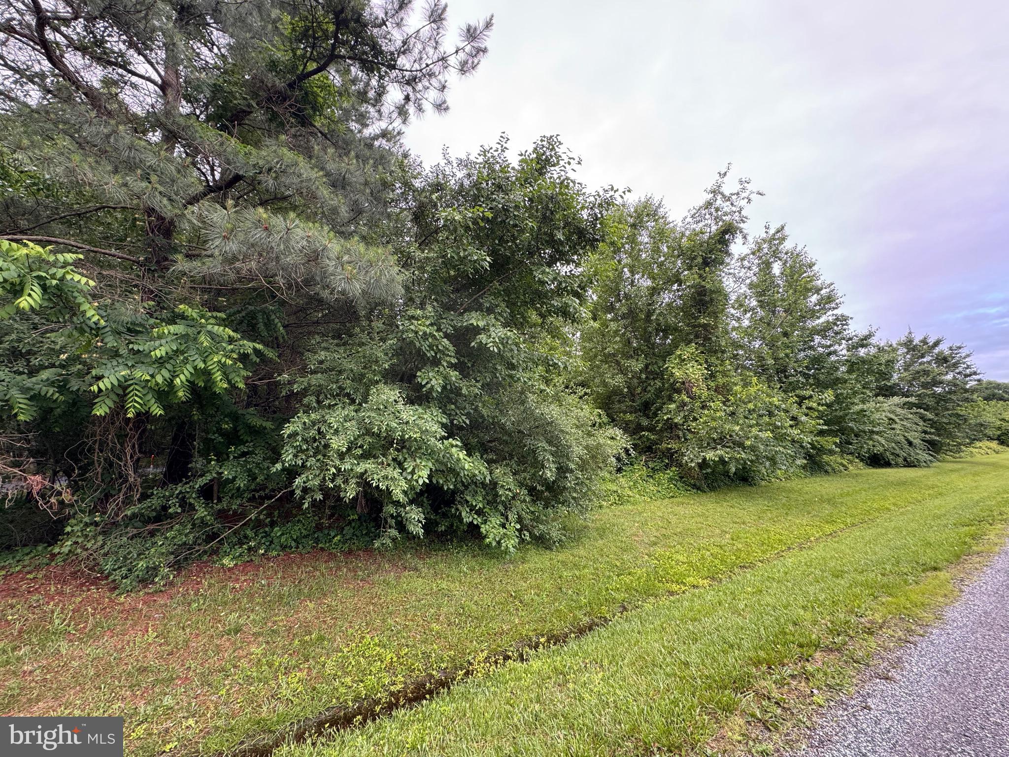 CHANCELLOR POINT ROAD