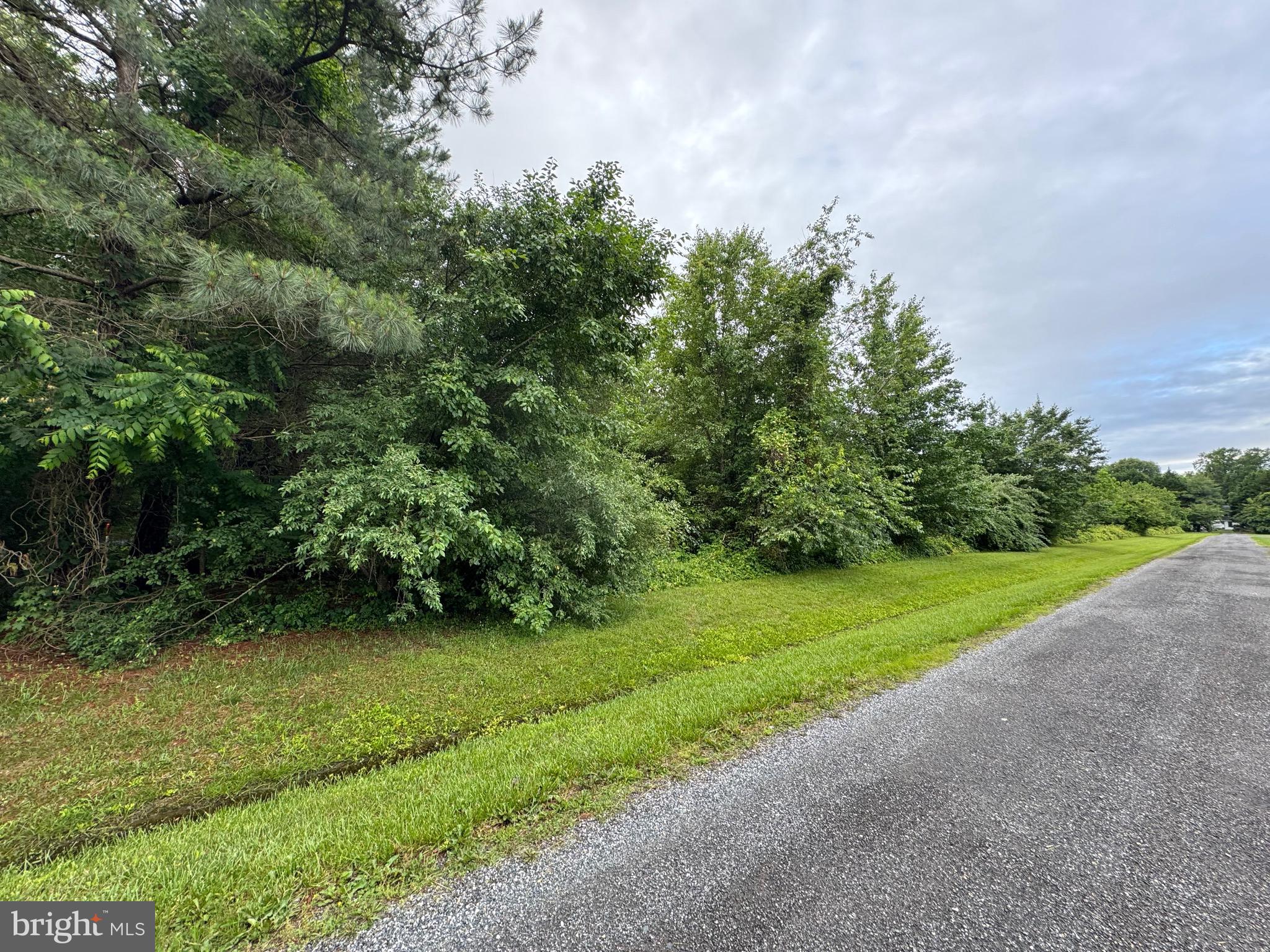 CHANCELLOR POINT ROAD