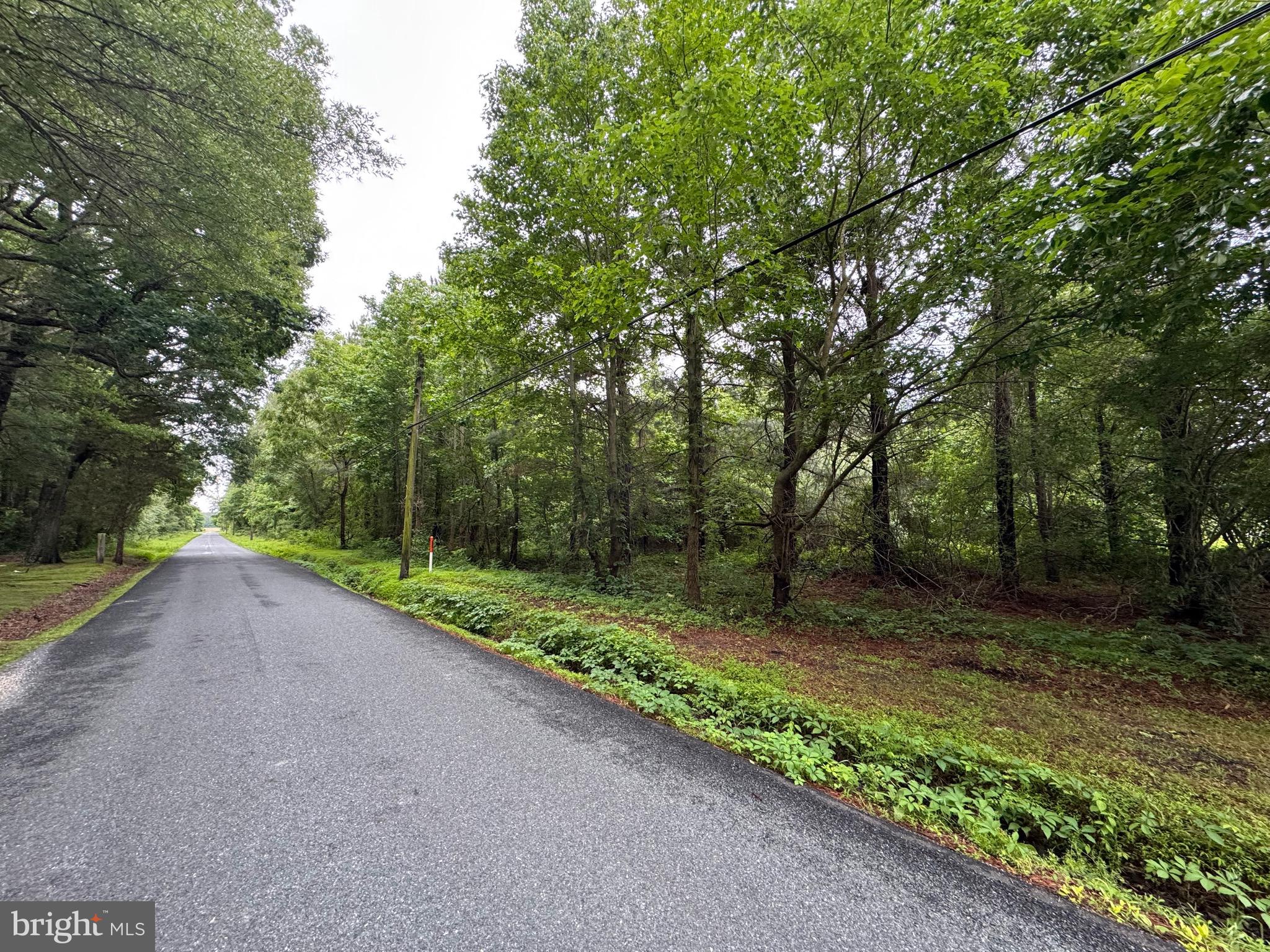 CHANCELLOR POINT ROAD