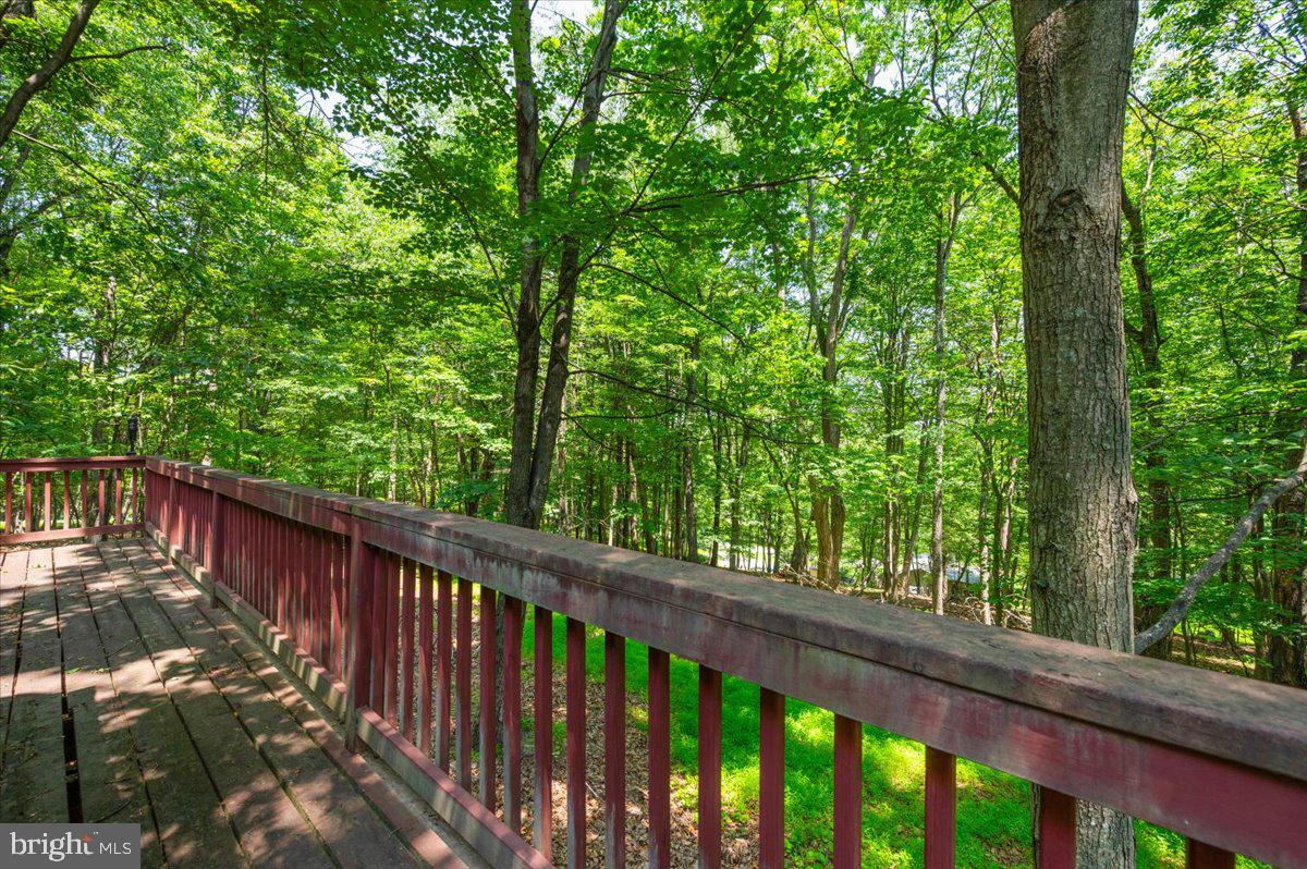 THE WOODS - Residential