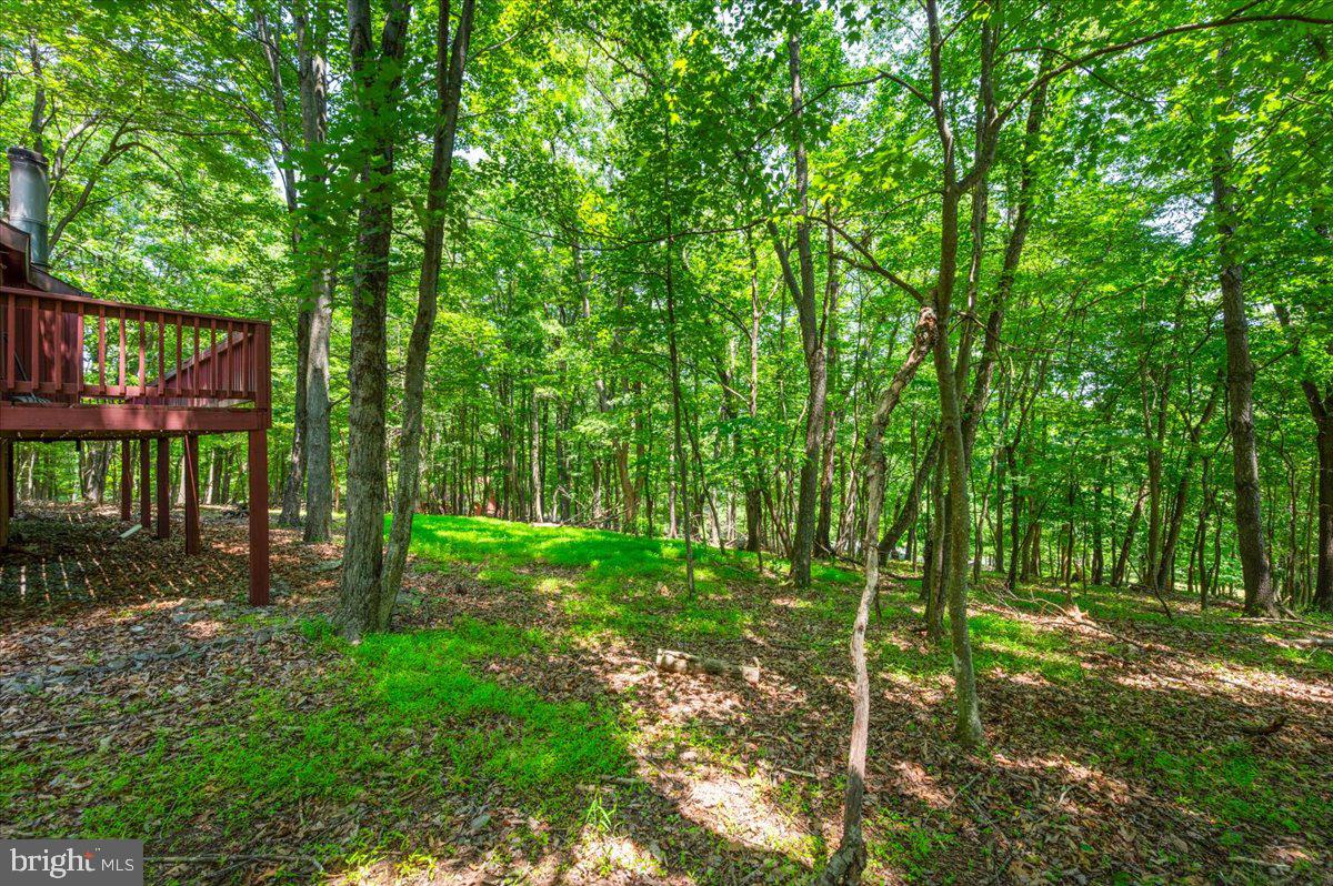 THE WOODS - Residential