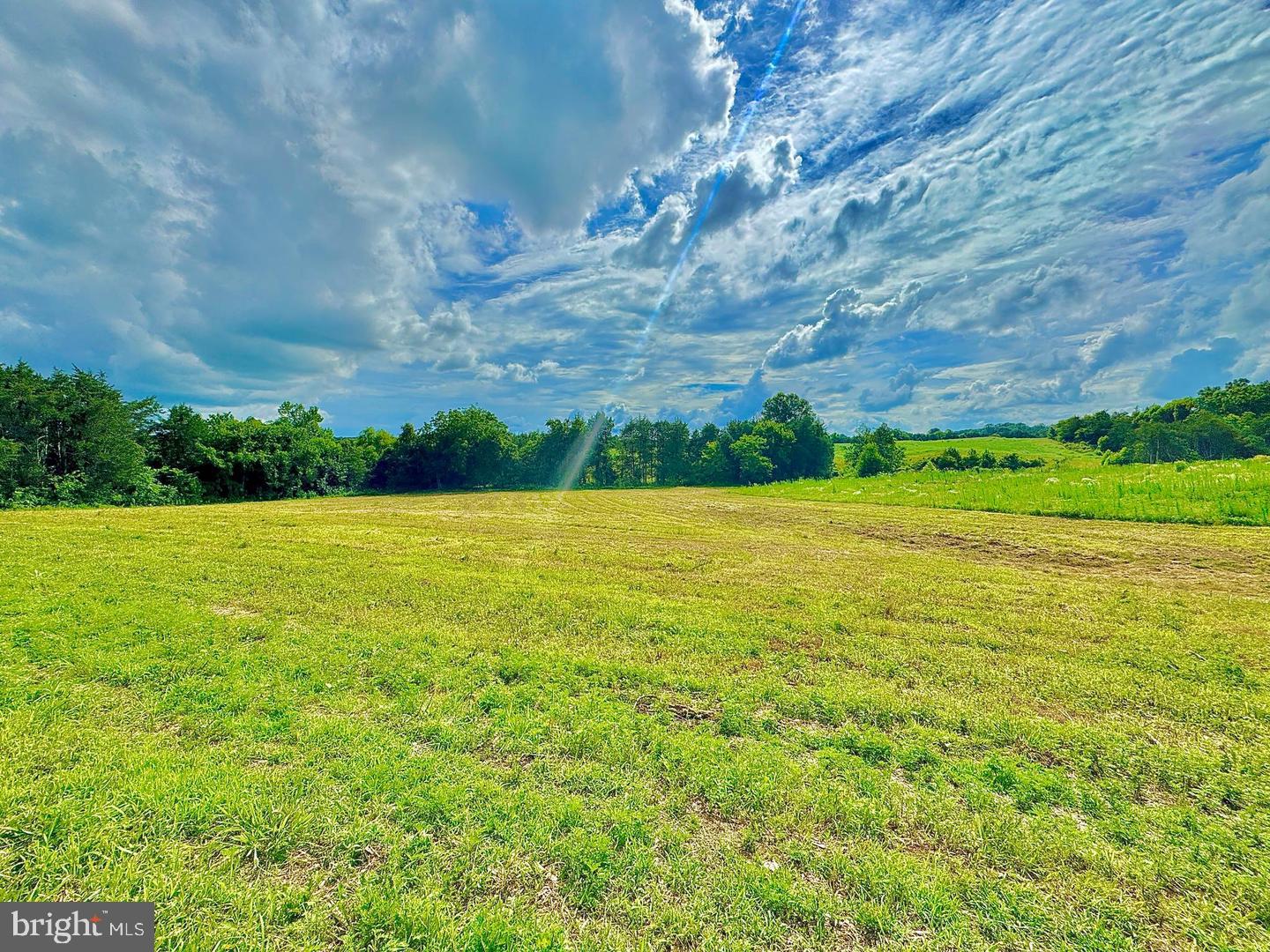 Lot 9 ZACHARY TAYLOR HWY