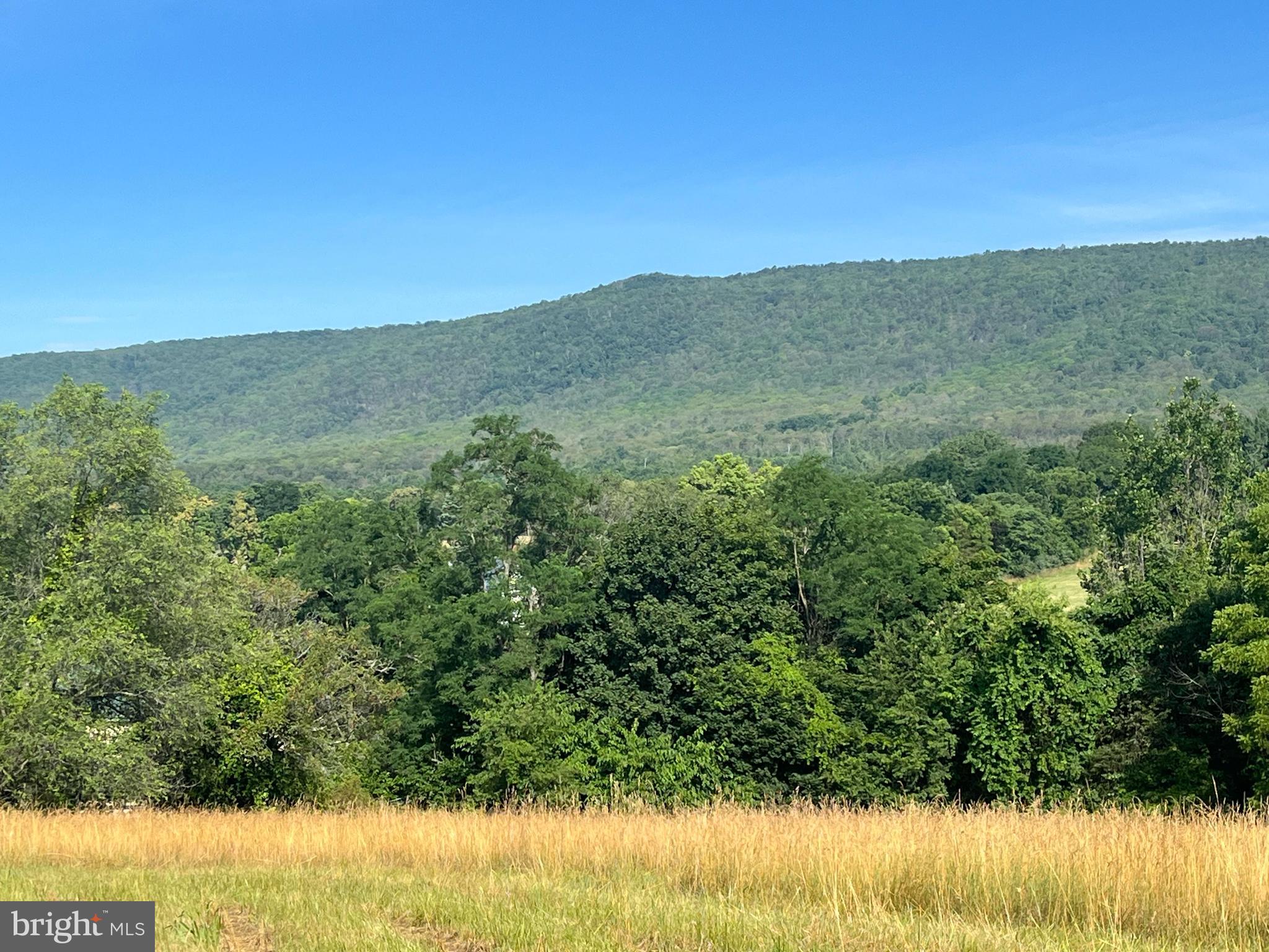 11774 BACK ROAD