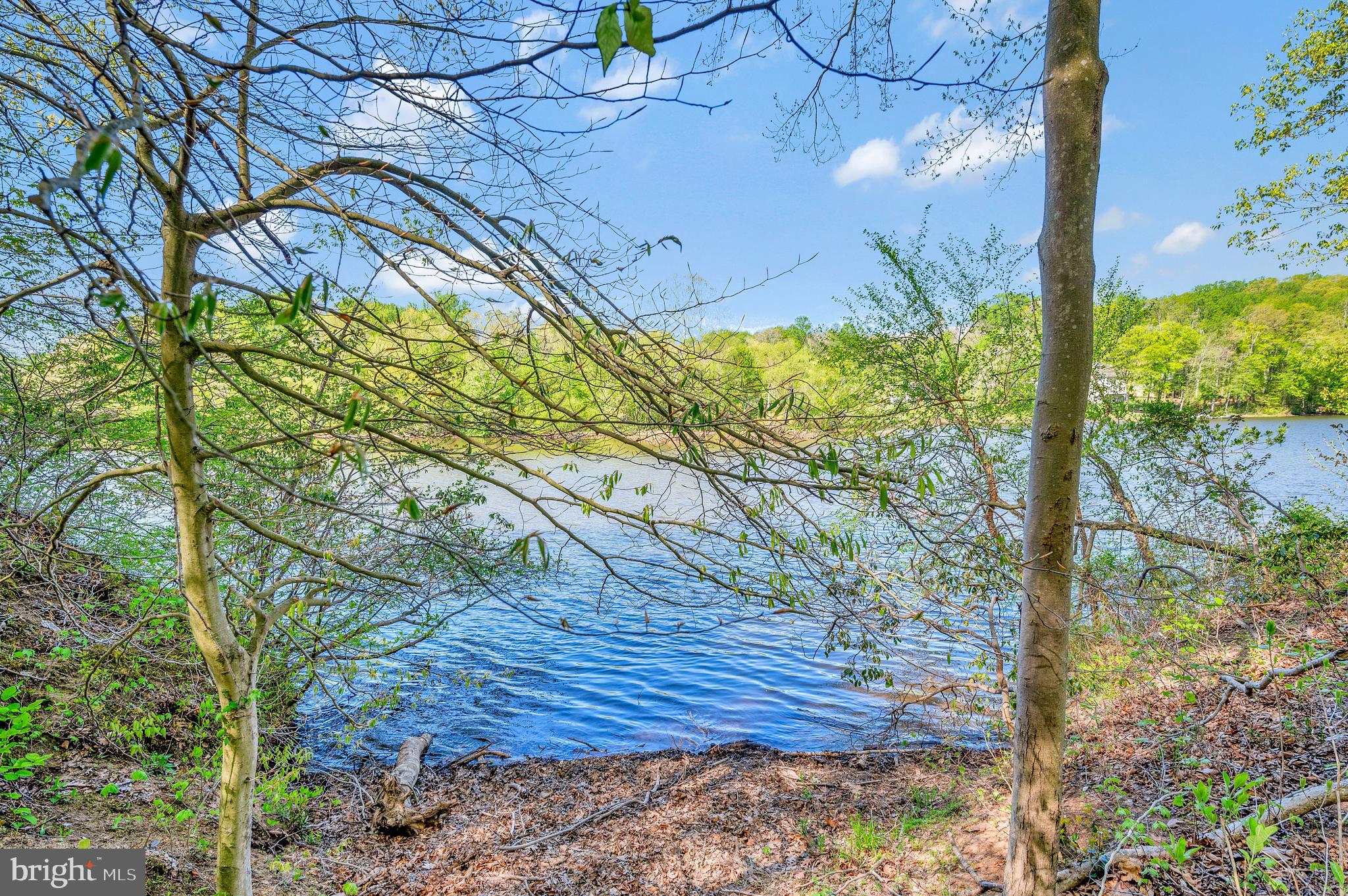 OCCOQUAN FOREST - Residential