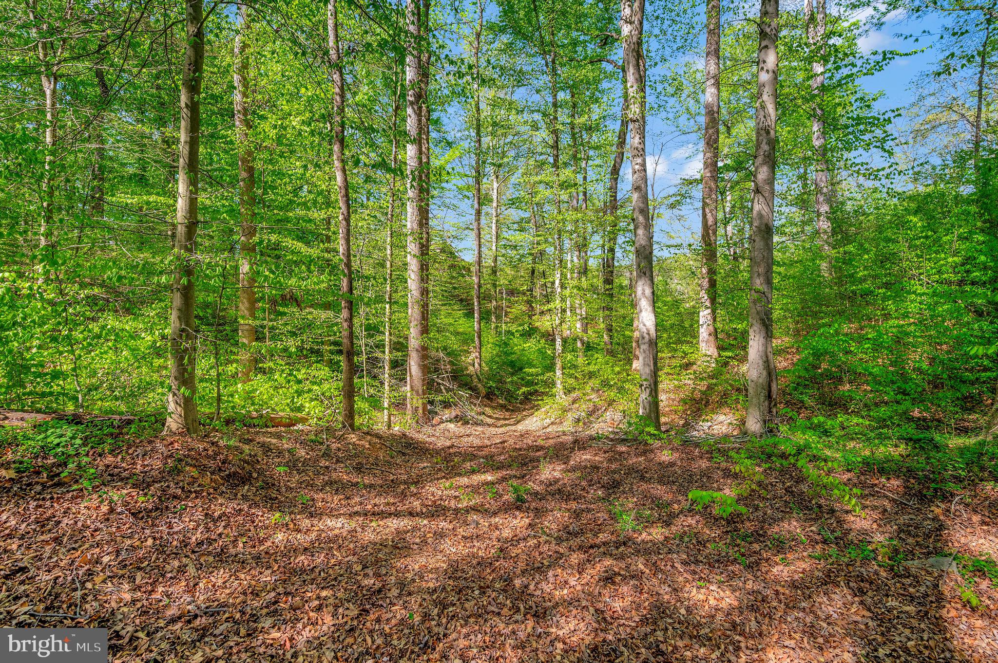 OCCOQUAN FOREST - Residential