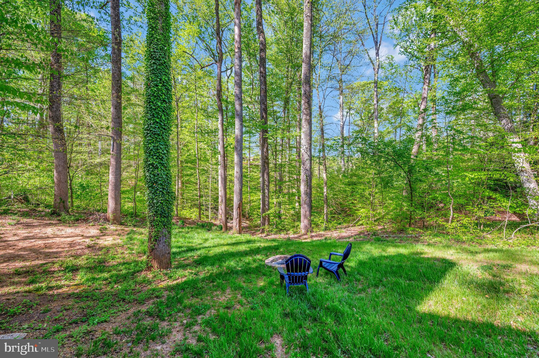 OCCOQUAN FOREST - Residential