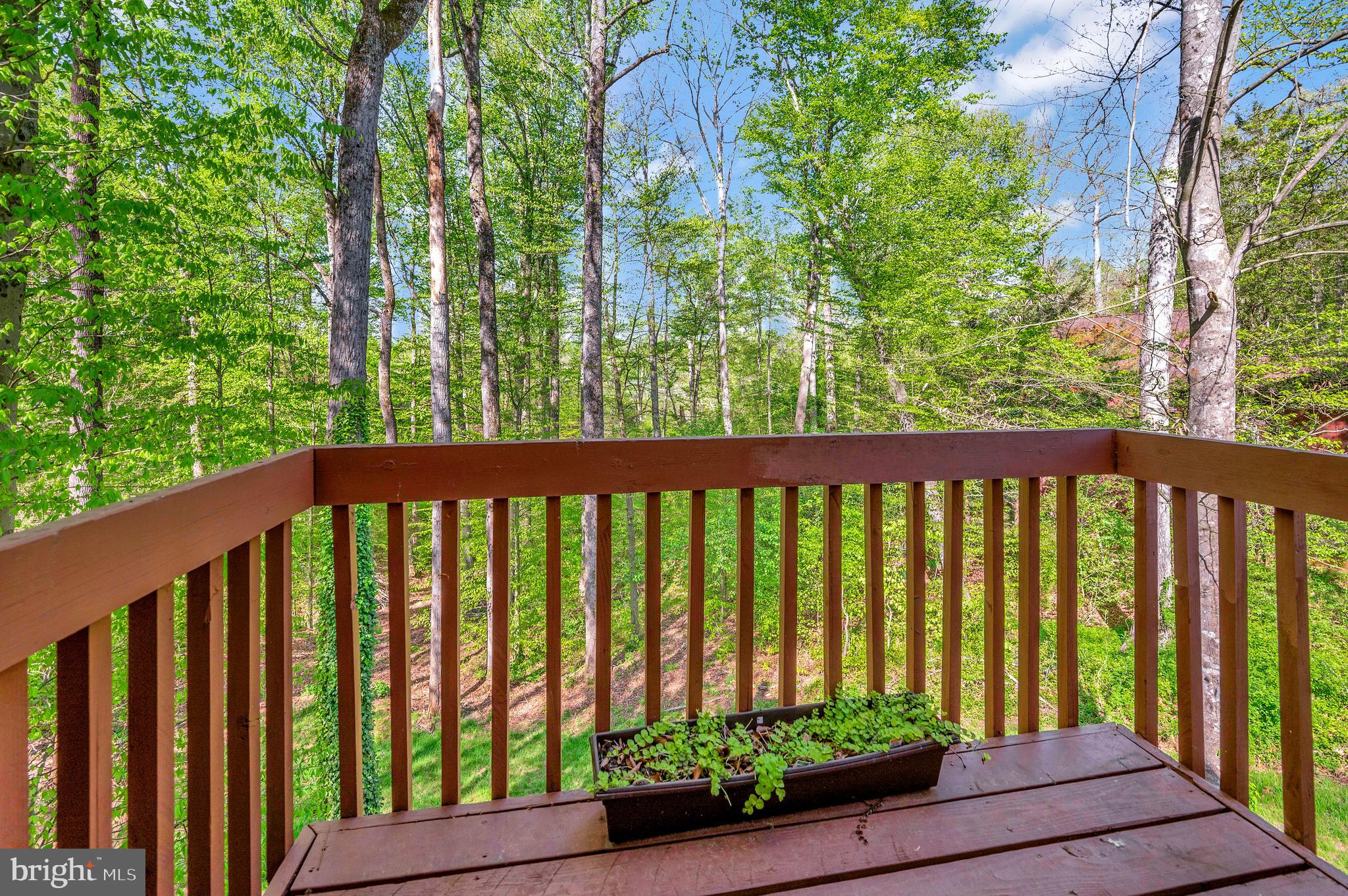 OCCOQUAN FOREST - Residential