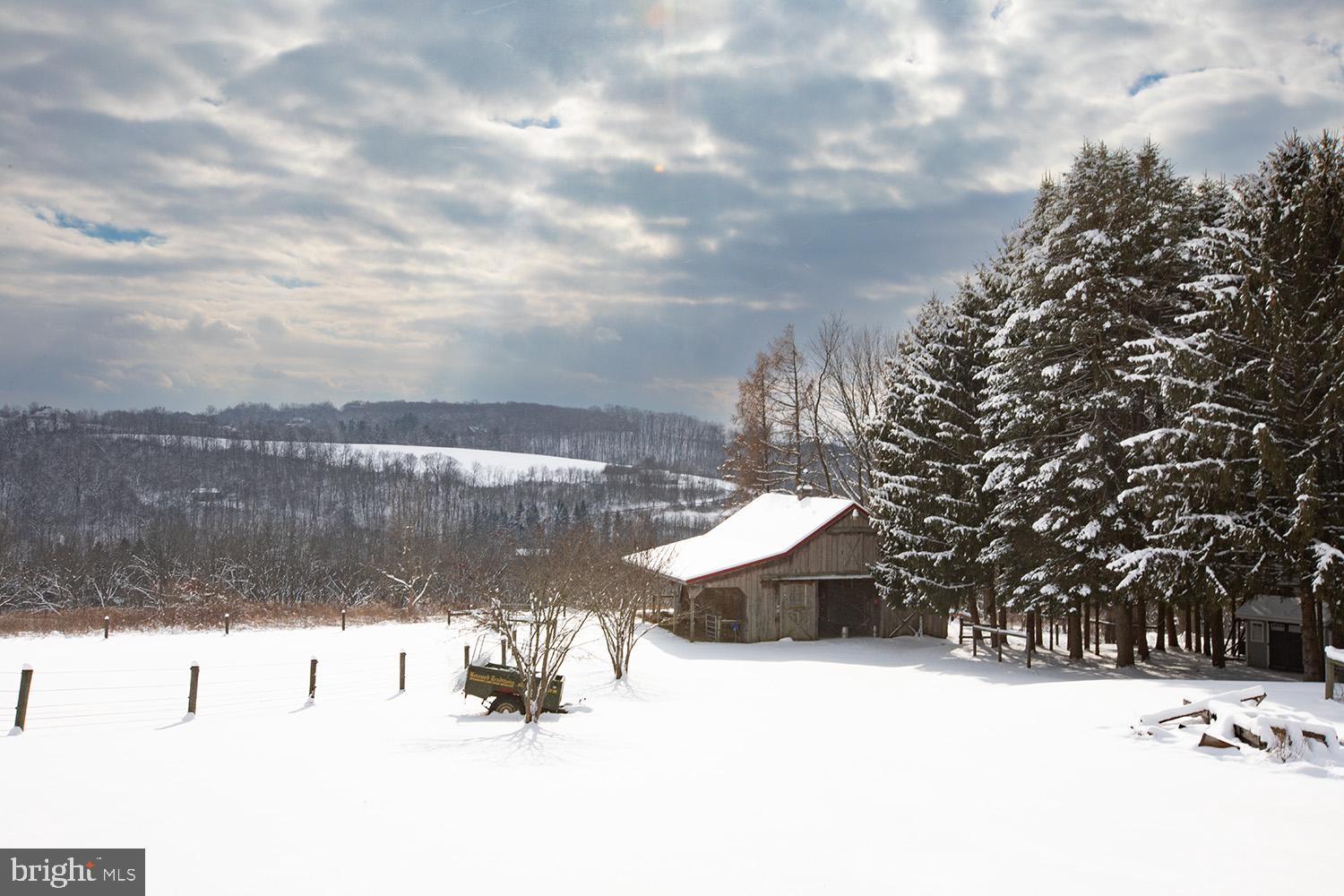 NONE AVAILABLE - Farm