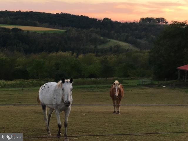 NONE AVAILABLE - Farm