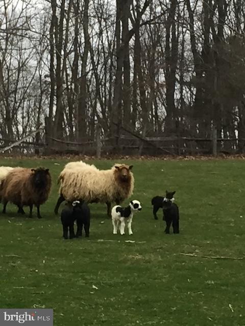 NONE AVAILABLE - Farm