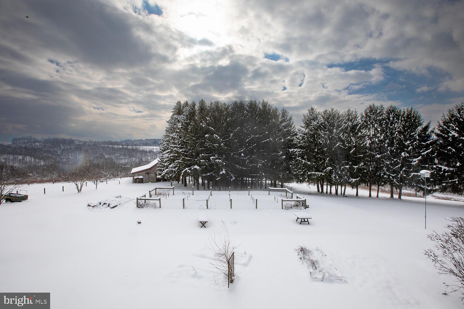 NONE AVAILABLE - Farm