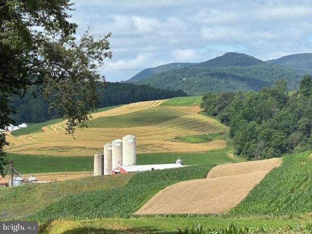 NONE AVAILABLE - Farm