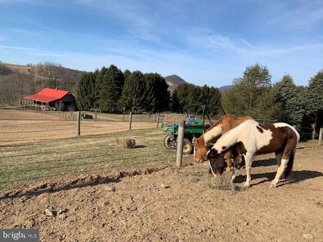 NONE AVAILABLE - Farm