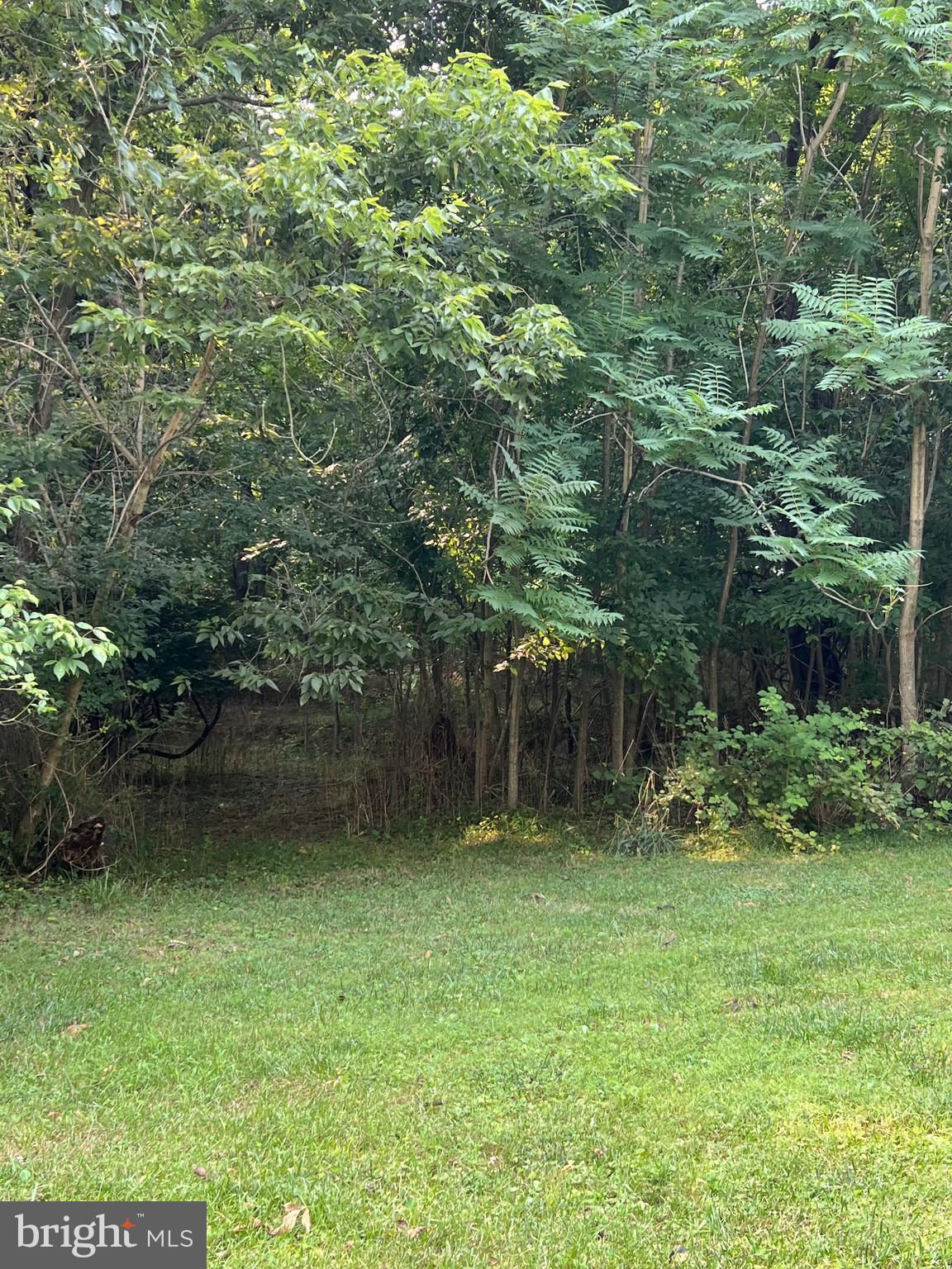 BAKERTON - Residential