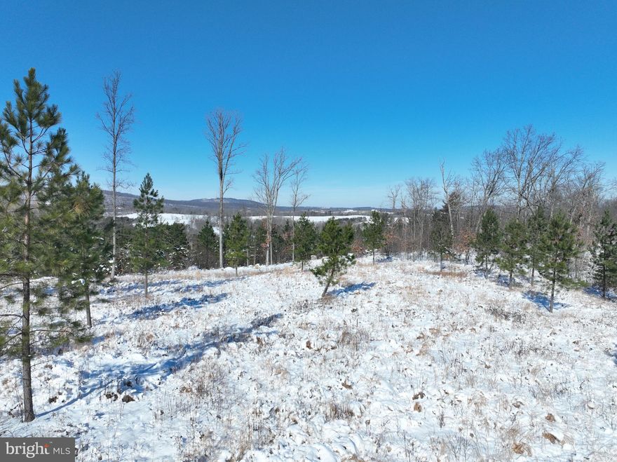 Mountain Living at Its Finest – Lot 5, Shady Lane, Augusta, WV. Perfectly situated in the heart of Hampshire County, this stunning 4.77-acre lot offers everything you need to create your dream home in the mountains of West Virginia. With its partially cleared landscape and ideal topography, this property is perfect for building, offering the perfect blend of open space and wooded seclusion. Take in breathtaking views of the sprawling countryside while enjoying the convenience of easy access, with electricity readily available nearby. Located in a peaceful and desirable neighborhood, this lot offers a balanced mix of tranquility and practicality, all just a short drive from Winchester, VA. Whether you’re seeking a weekend retreat or a full-time residence, this property provides the ultimate setting for mountain living, combining modern conveniences with the charm of rural West Virginia. Don’t miss your chance to own this exceptional piece of Hampshire County!