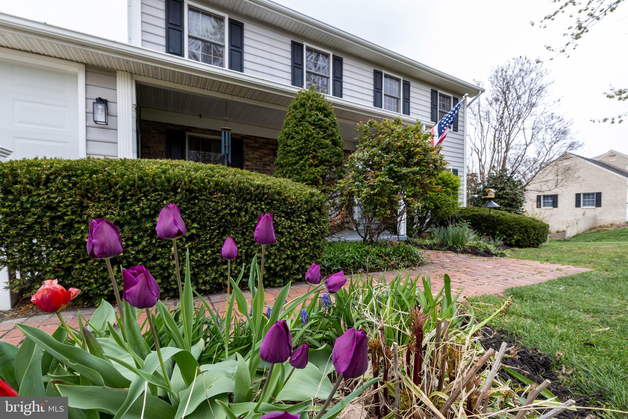 CEDAR KNOLL - Residential