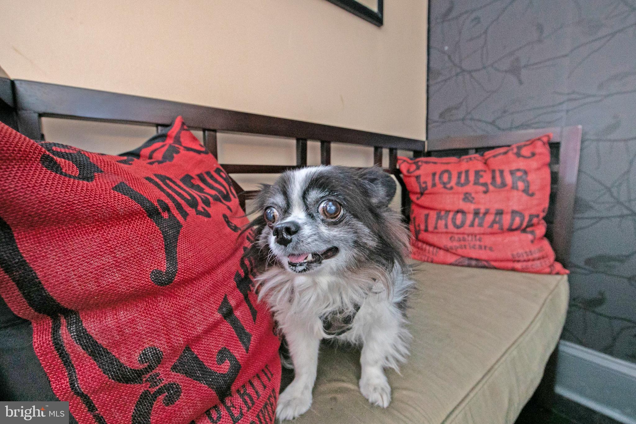 SPRUCE HILL - Residential