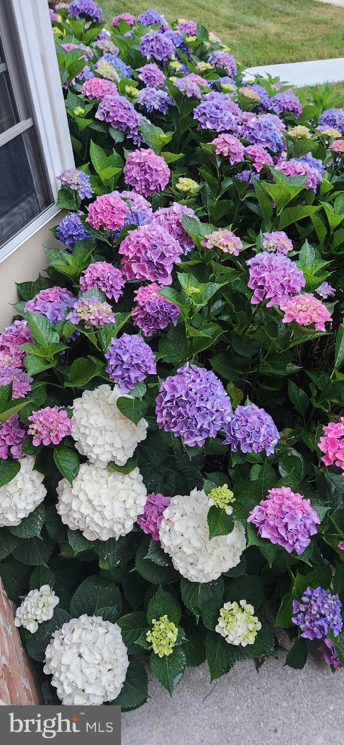 MAYS CHAPEL NORTH - Residential